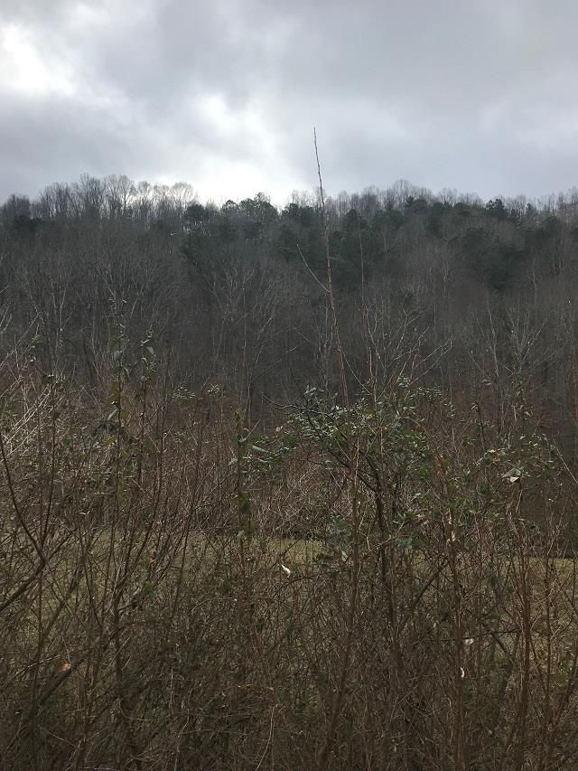 118 Acres, 0000 Puncheon Camp Creek, Salyersville, KY 41465 Land and Farm