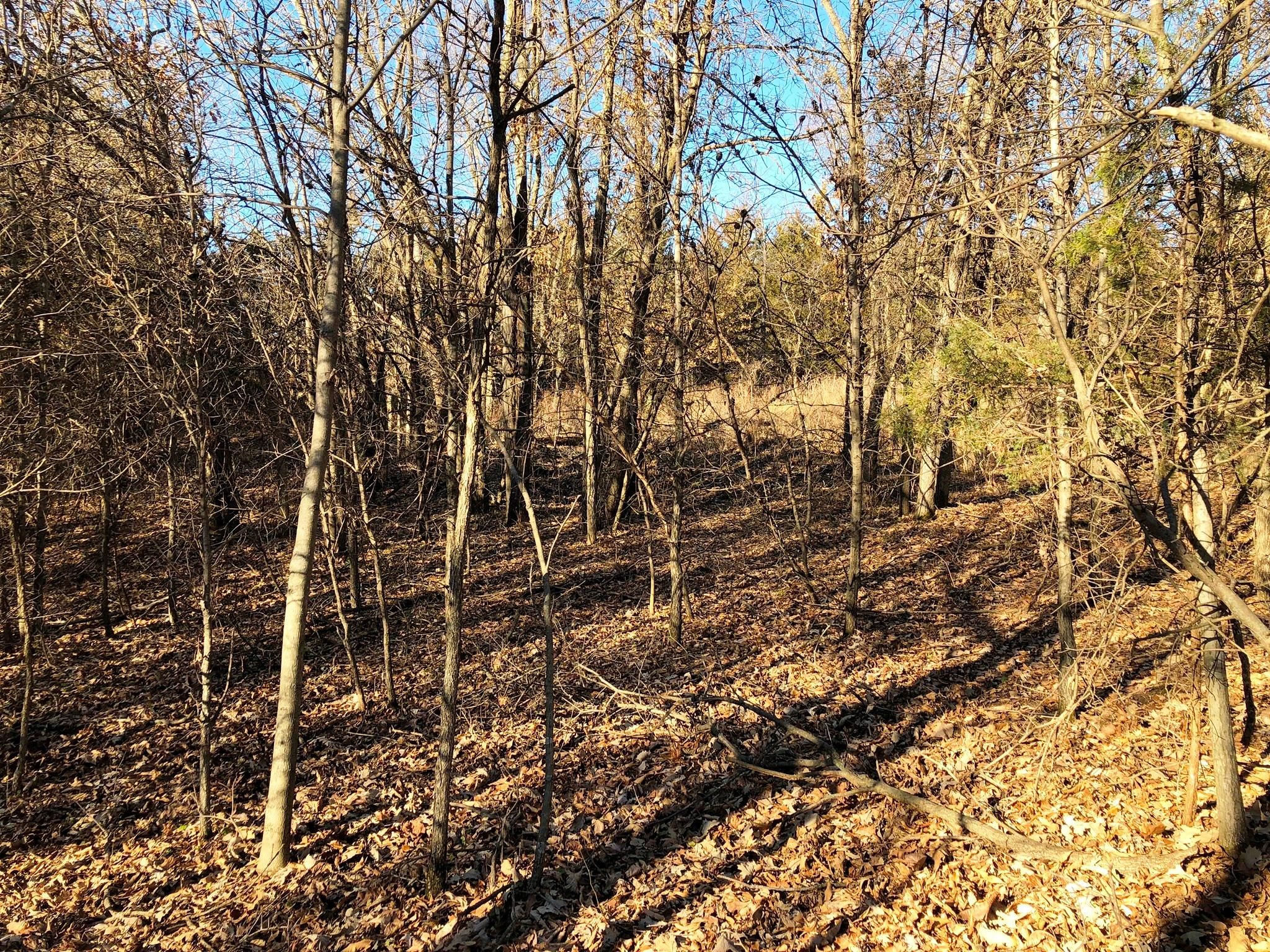 Davi, Unionville, IA 52594 MLS 20172929 Land and Farm