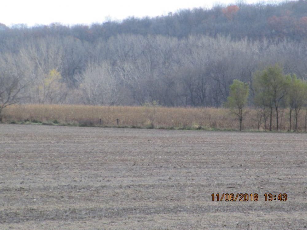 40 Acres, Redfield, IA 50233 Land and Farm