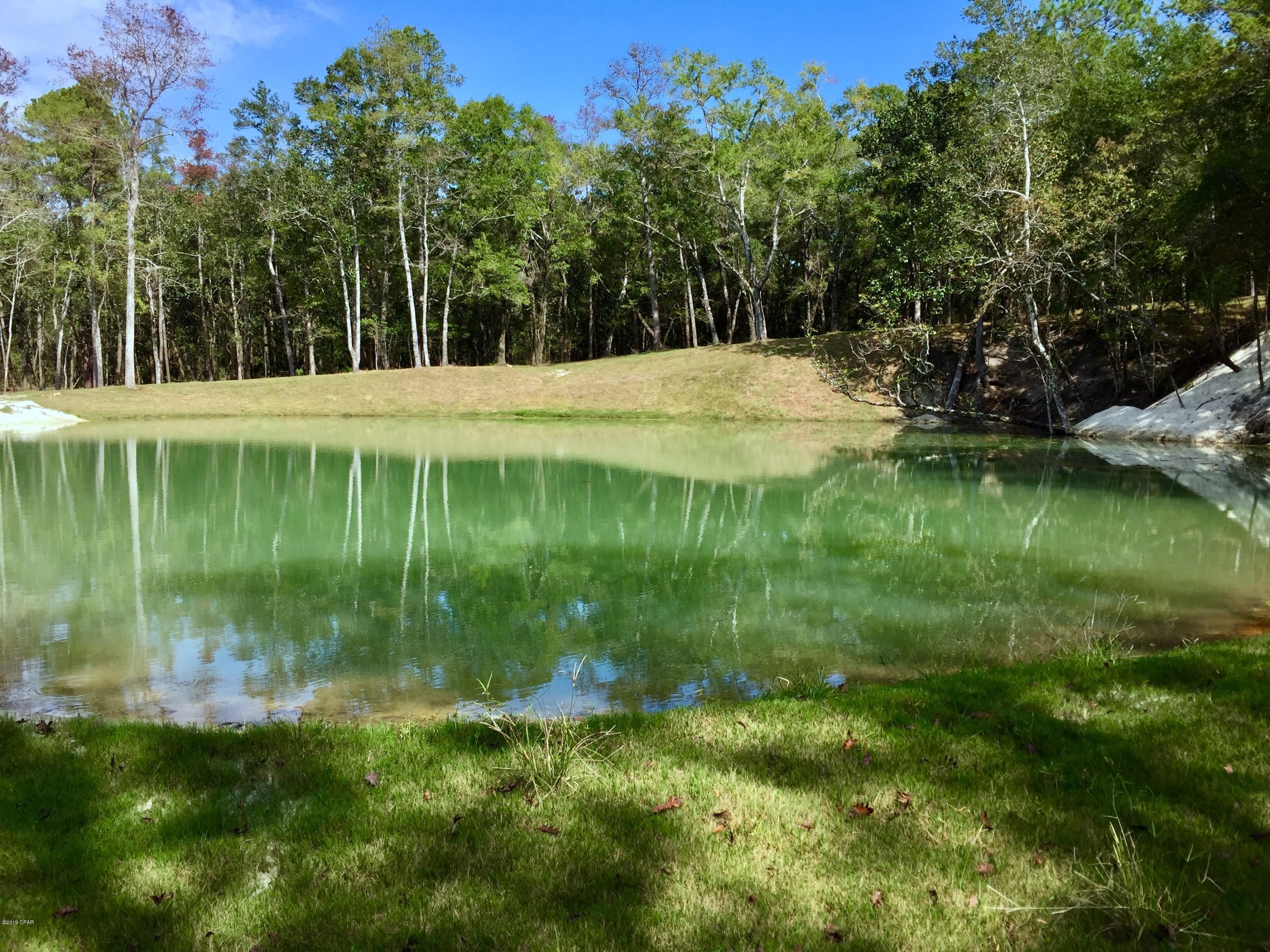 53 Acres, 5730 Strickland Road, Ebro, FL 32437 Land and Farm