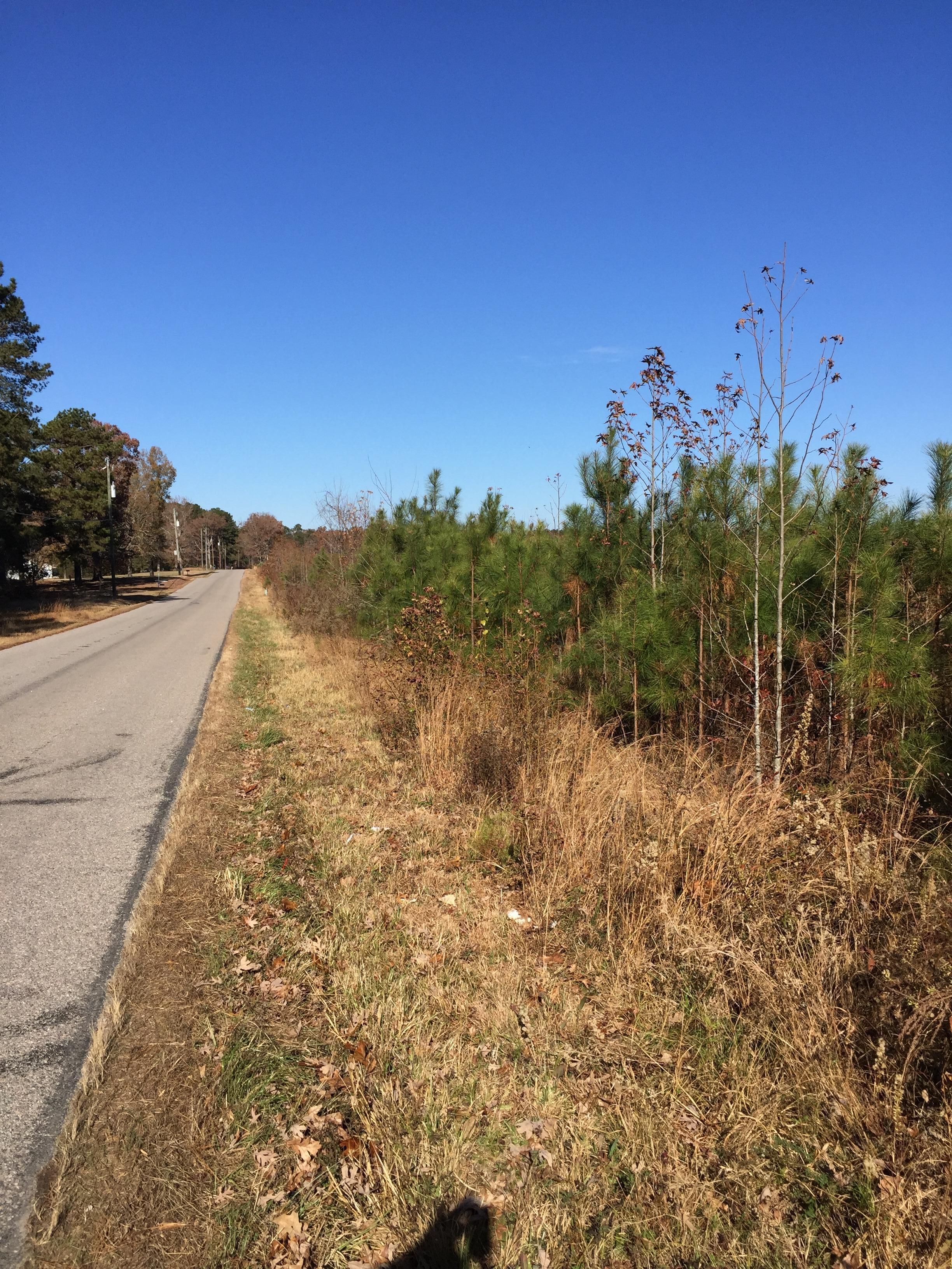 Depot Rd, McKenney, VA 23872 MLS 1840224 Land and Farm