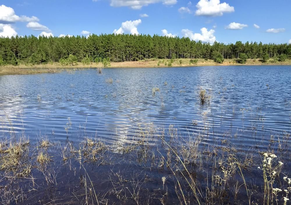 1,261 Acres, 0 Hawthorne Road, Tibbie, AL 36583 Land and Farm