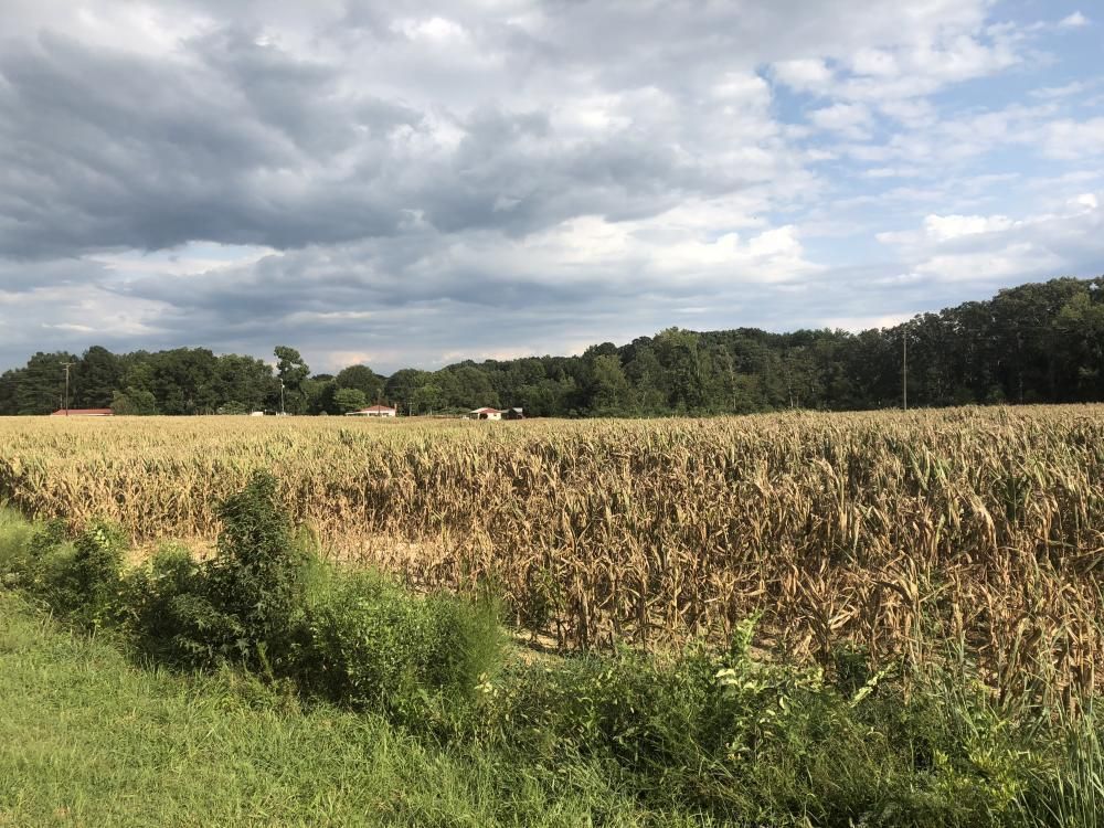 62 Acres, 00 Irby Road, Monroe, NC 28112 Land and Farm