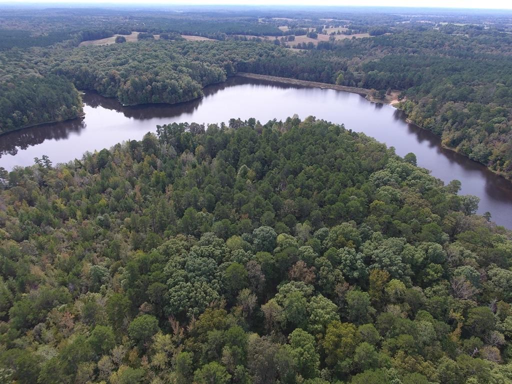 40 Acres, Brents Rd, Potts Camp, MS 38659 Land and Farm