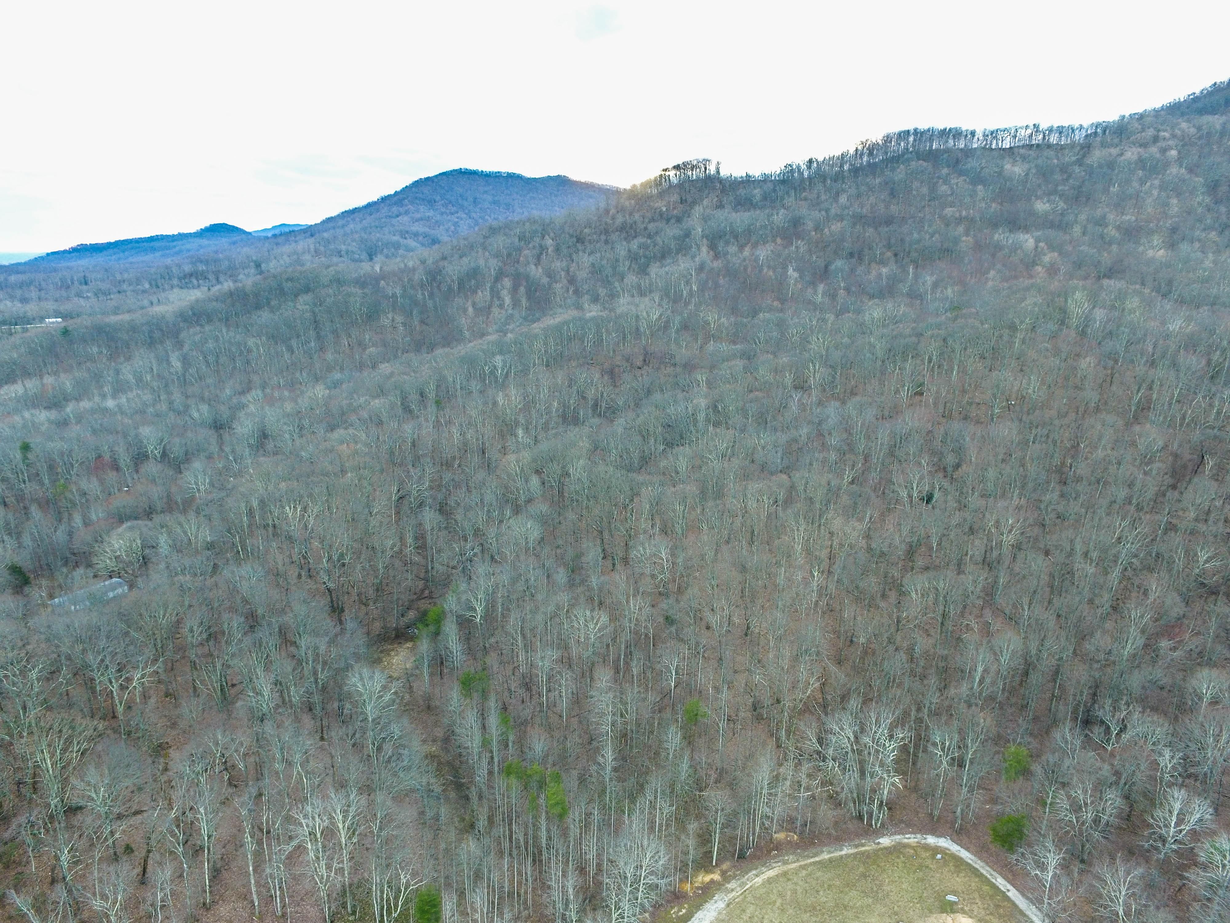 Braden Flats Lane, Briceville, TN 37710 Land and Farm