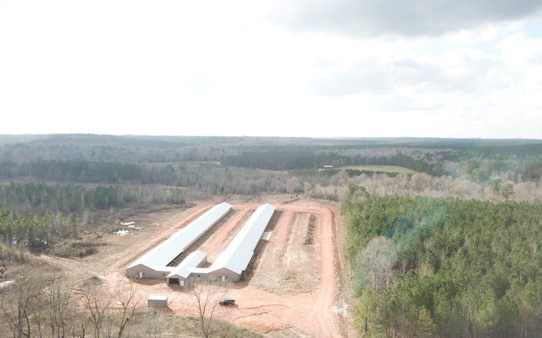 136 Acres, 254 Langham Road, Repton, AL 36475 Land and Farm