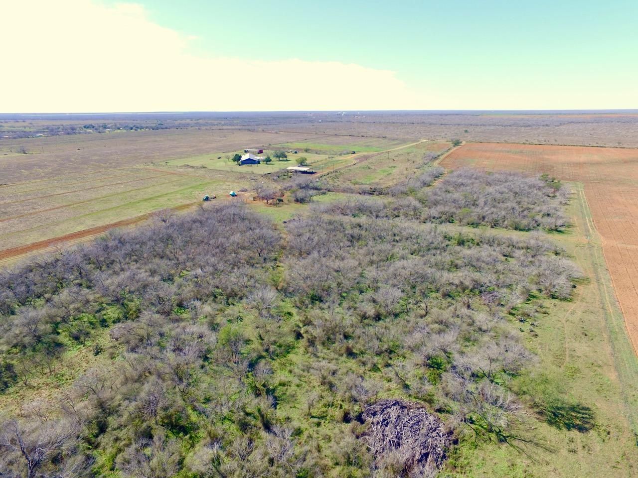 600 County Road 4843, Dilley, TX 78017 MLS 1366137 Land and Farm