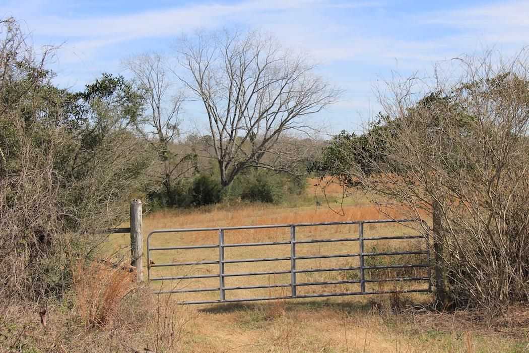 60 Acres, 0 highway 52, Opp, AL 36467 Land and Farm