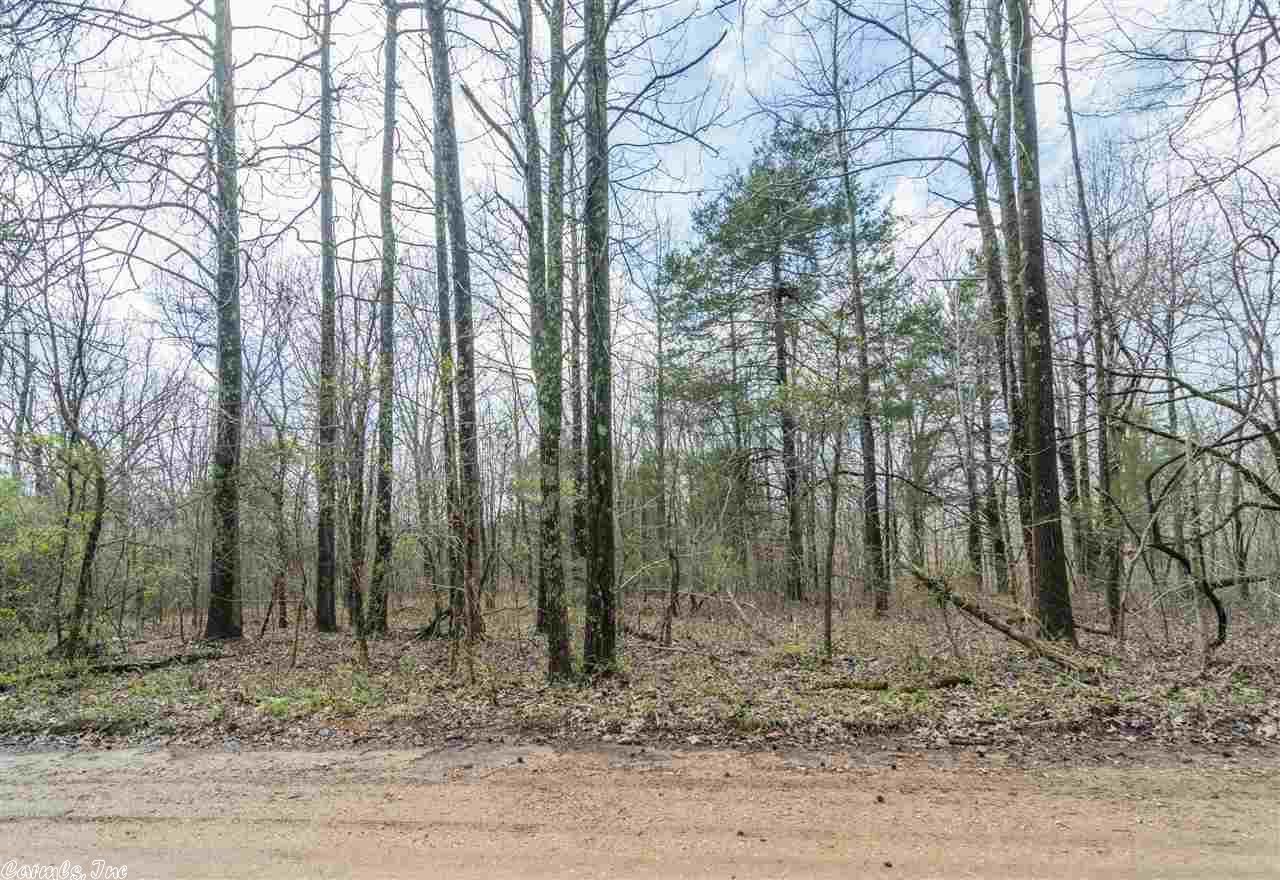 10 Acres, 10 acres CR 331, Bono, AR 72416 Land and Farm
