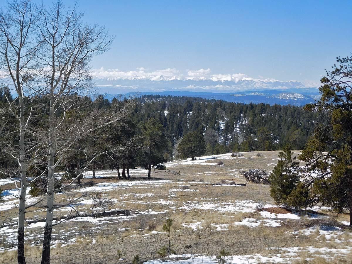 10458 Chapman Ranch View, Cripple Creek, CO 80813 Land and Farm