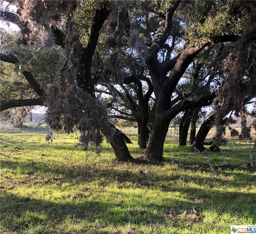 15.33 Acres, 129 Longhorn Road, Stockdale, TX 78160 Land and Farm