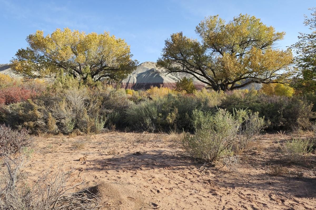 Highway 24, Torrey, UT 84775 Land and Farm