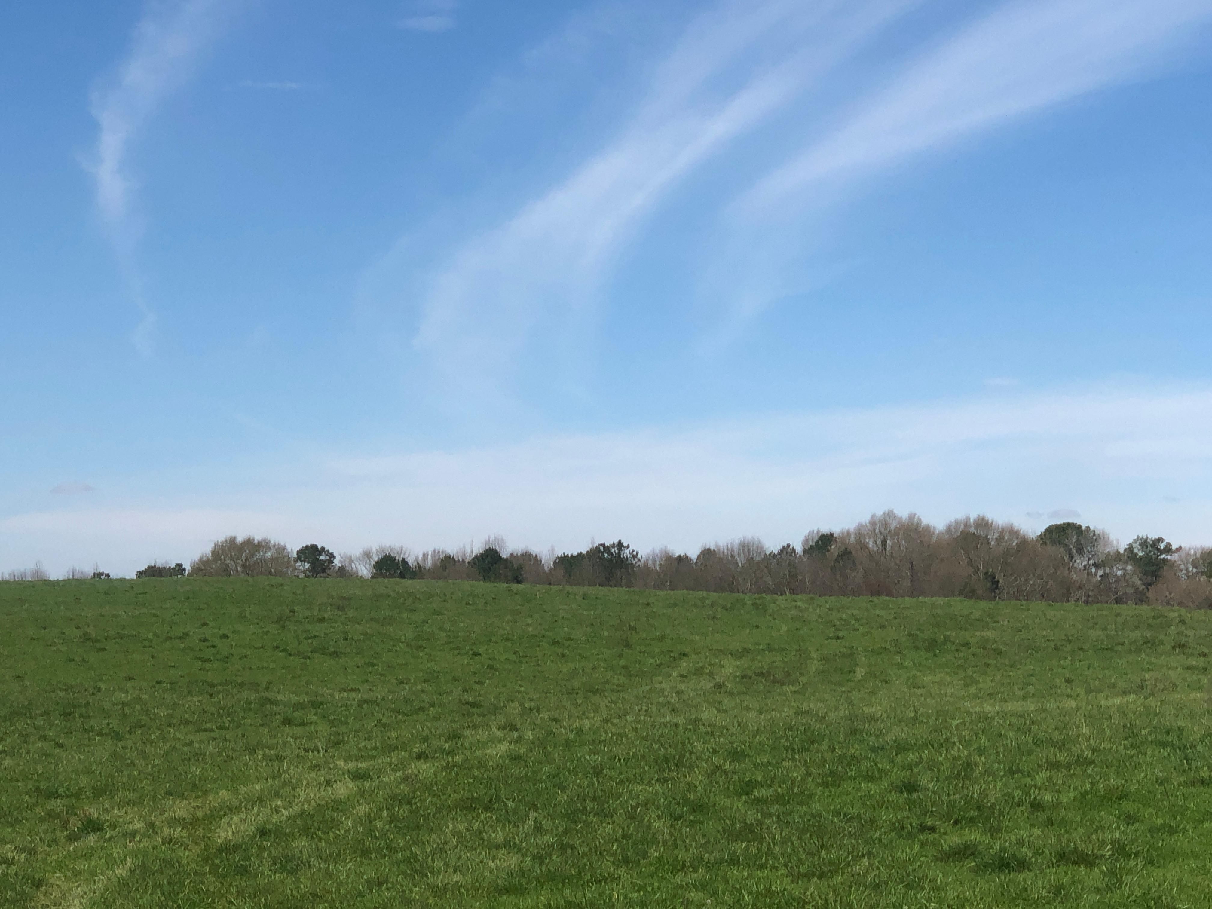 102.27 Acres, 1720 Union Point Road, Stephens, GA 30667 Land and Farm