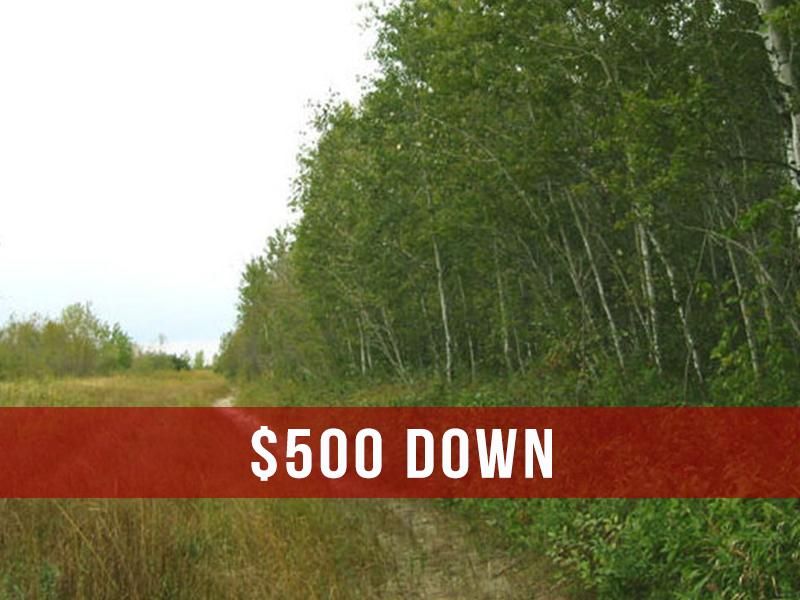 69 acres in Baudette, MN, 56623 Land and Farm