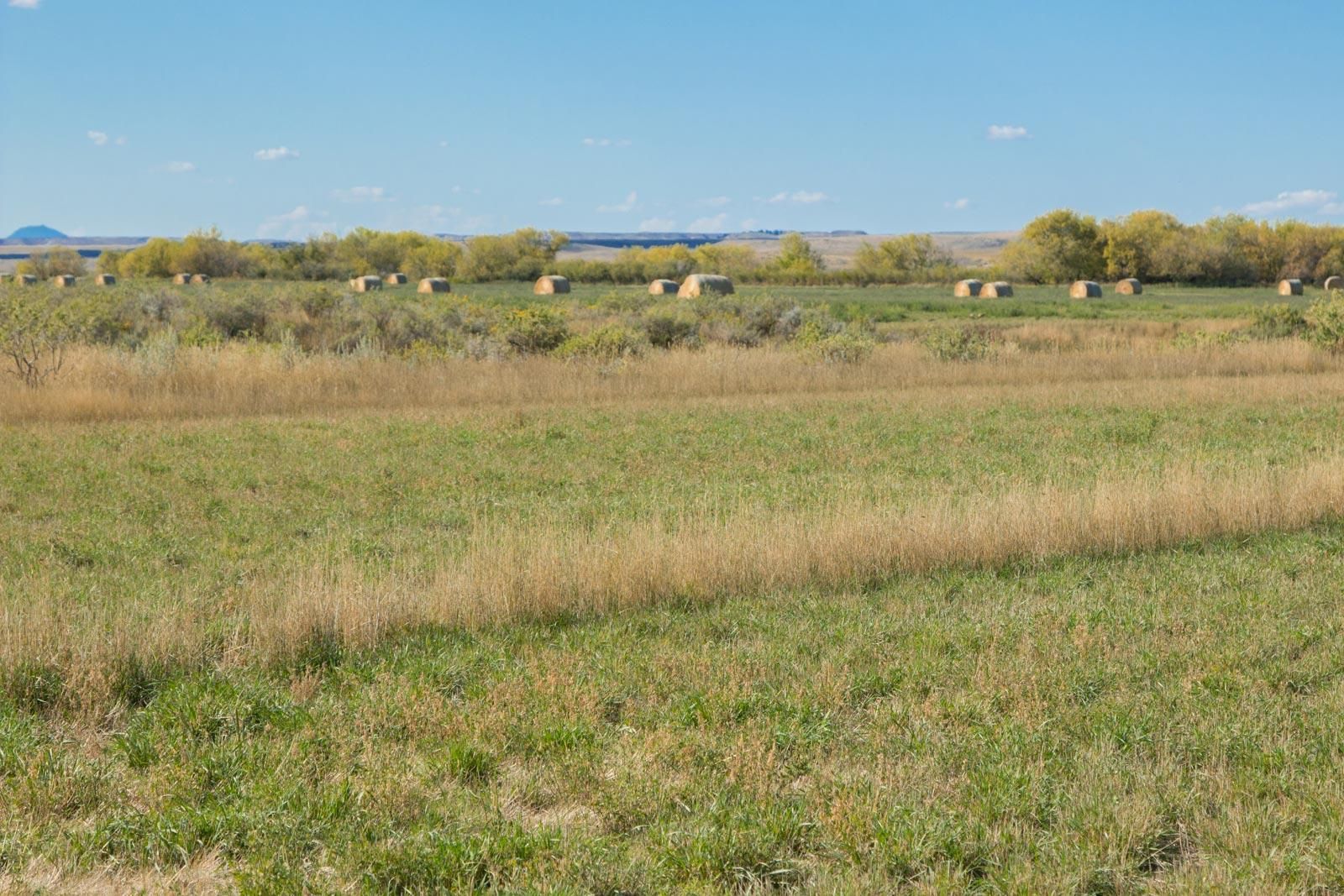 3,718 Acres, State Highway 200, MT 59087 Land and Farm