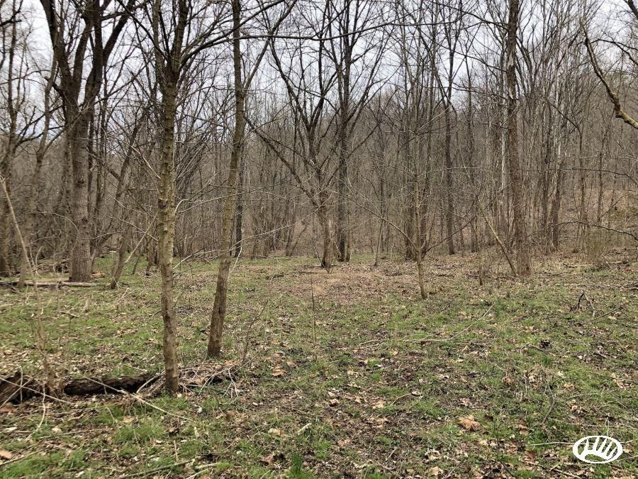 272 Acres, Big Run Road(County Road 59), Cutler, OH 45724 Land and Farm