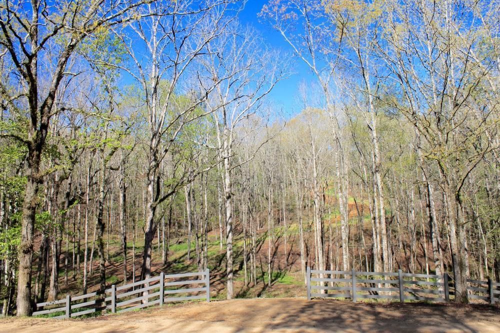 40 Acres, Atchison Trace Road, Columbiana, AL 35085 Land and Farm