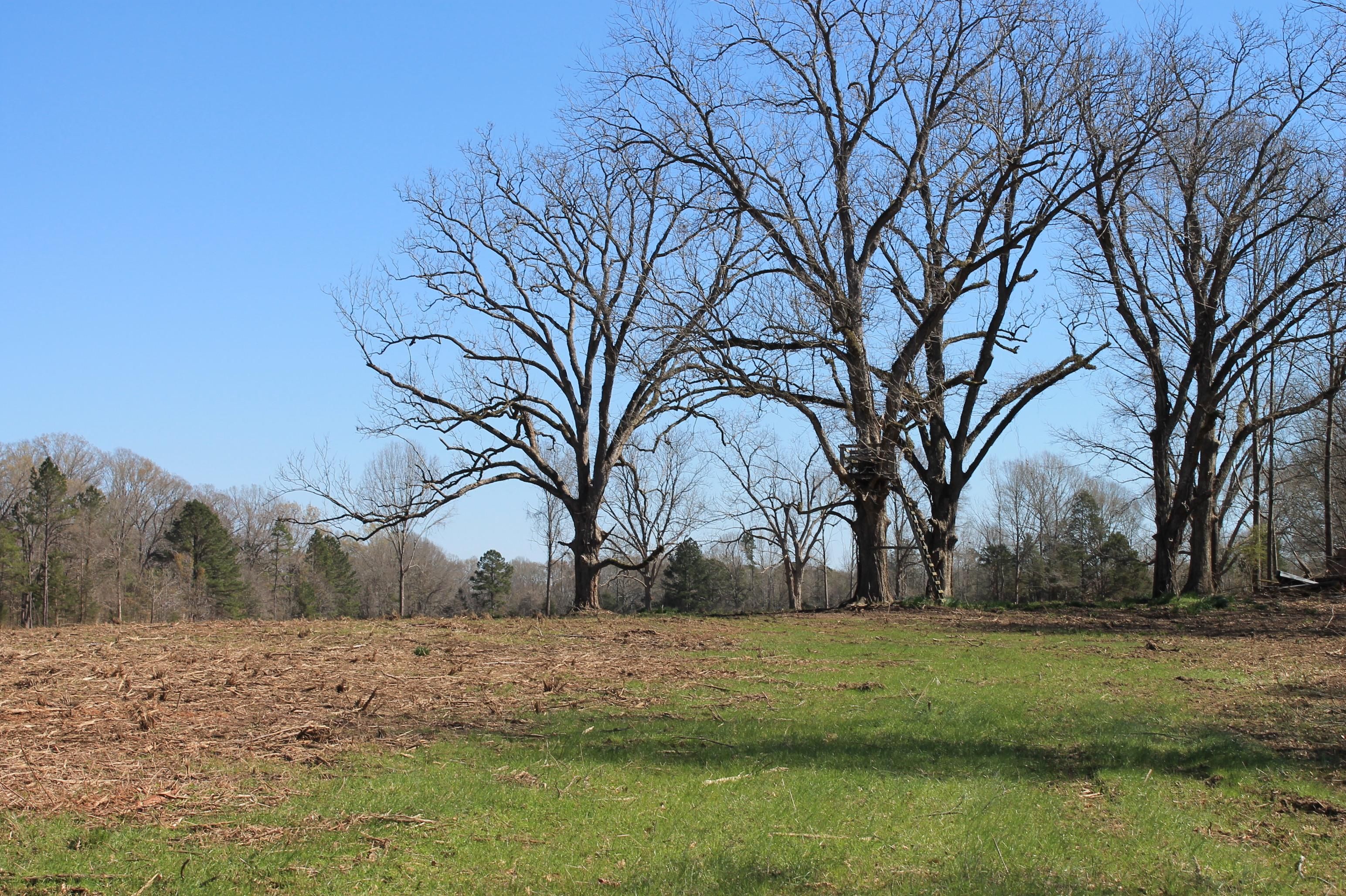 70 Acres, New pine Grove Road, Port Gibson, MS 39150 Land and Farm