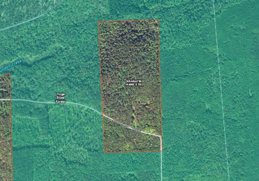 65 Acres, Brown Road, Canton, PA 17724 Land and Farm