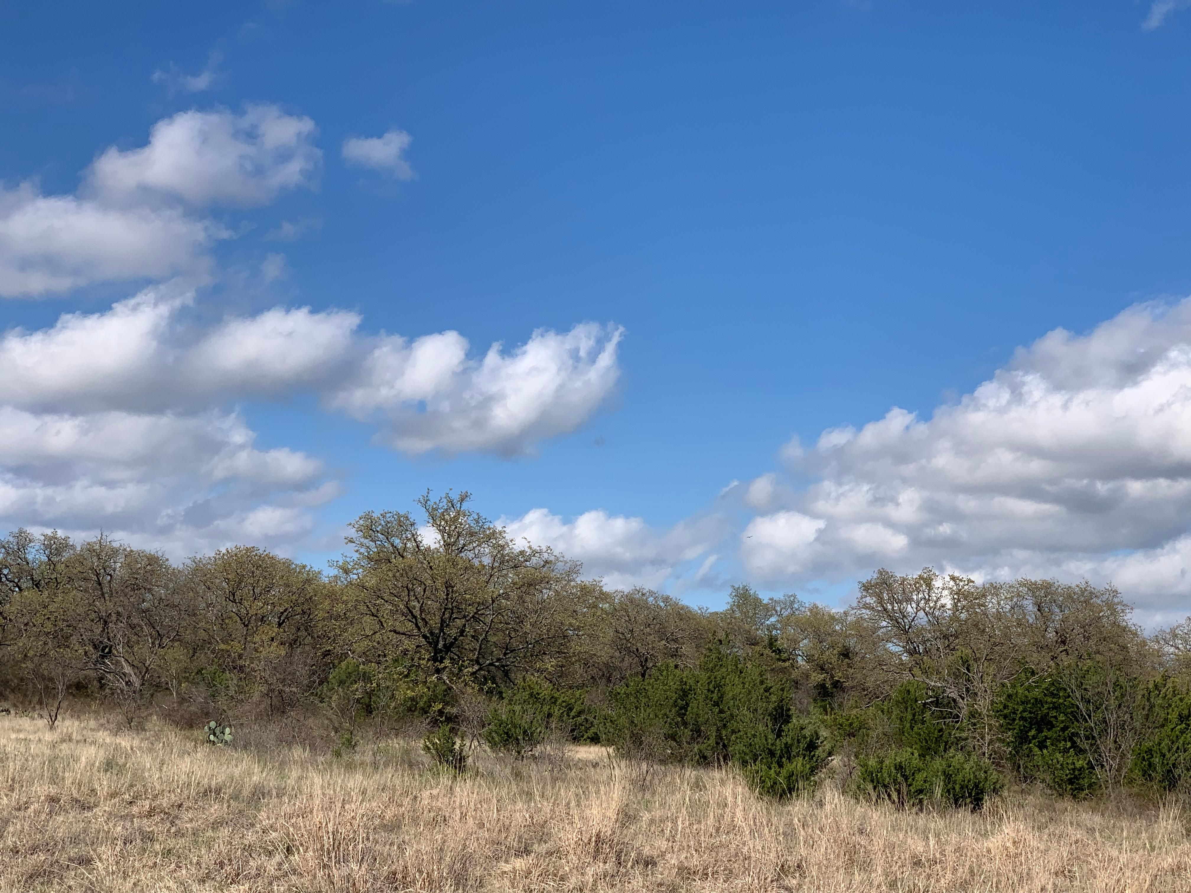 8 Acres, Eula, TX 79602 Land and Farm