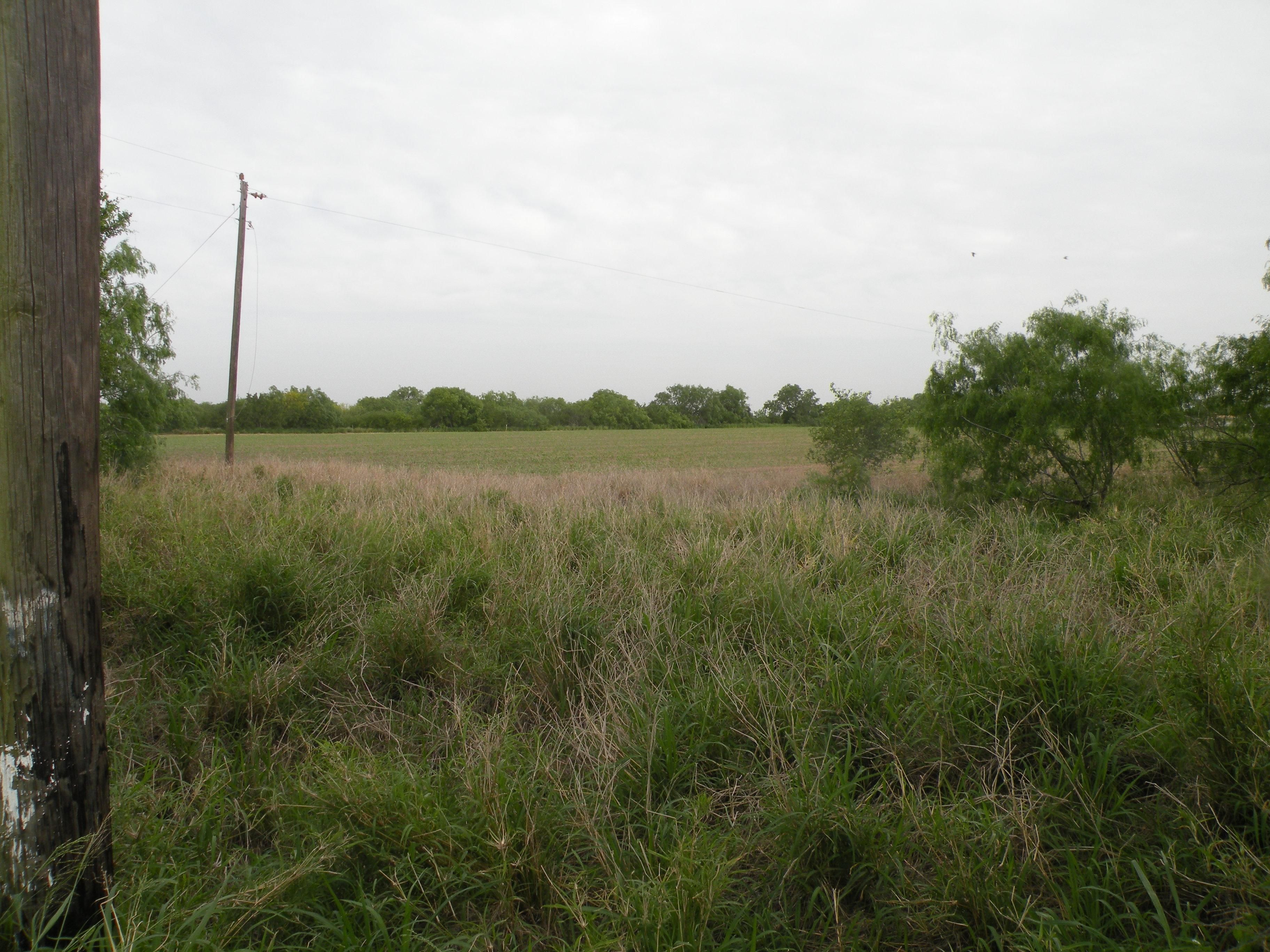 15 Acres, Hargill, TX 78549 Land and Farm