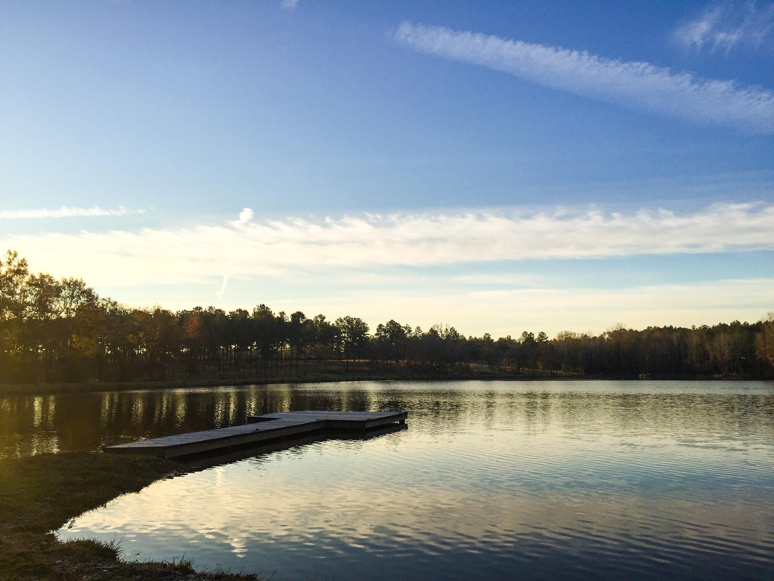 State Hwy 51, Union Springs, AL 36089 Land and Farm