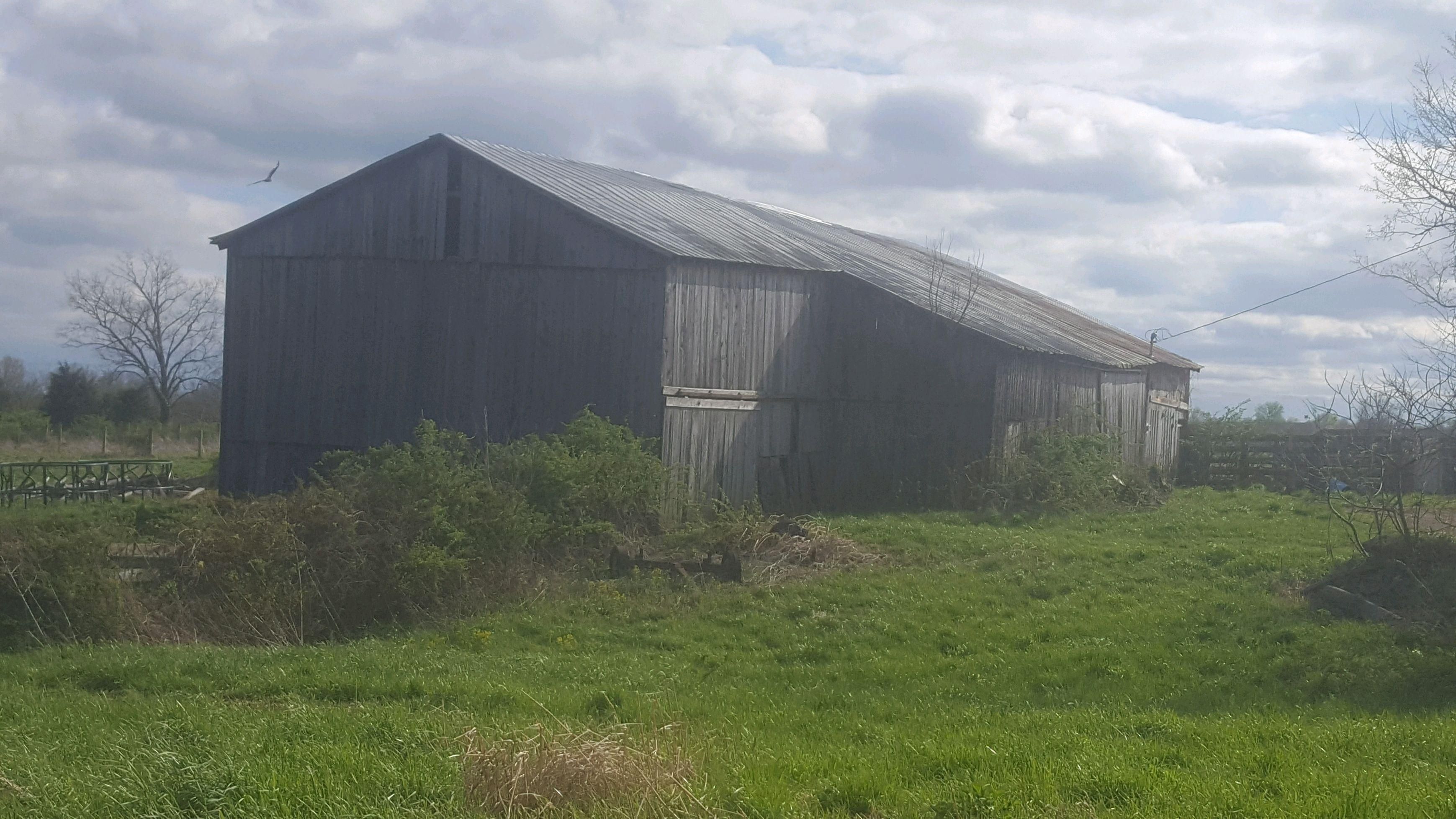 63 Acres, KY57, Tollesboro, KY 41189 Land and Farm