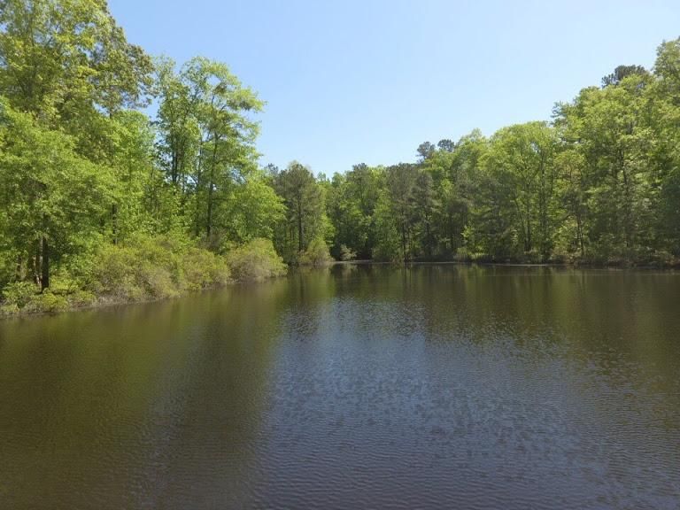 33.47 Acres, N Lake Dr, Sandersville, GA 31082 Land and Farm