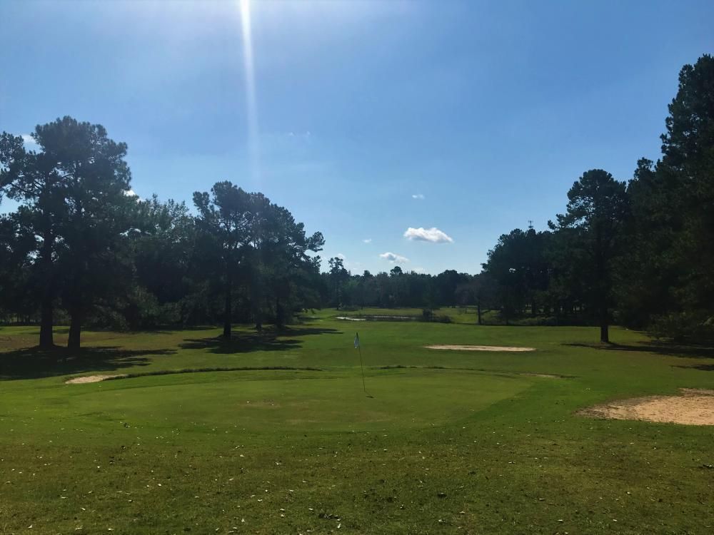 6505 Carolina Highway, Denmark, SC 29042 Land and Farm