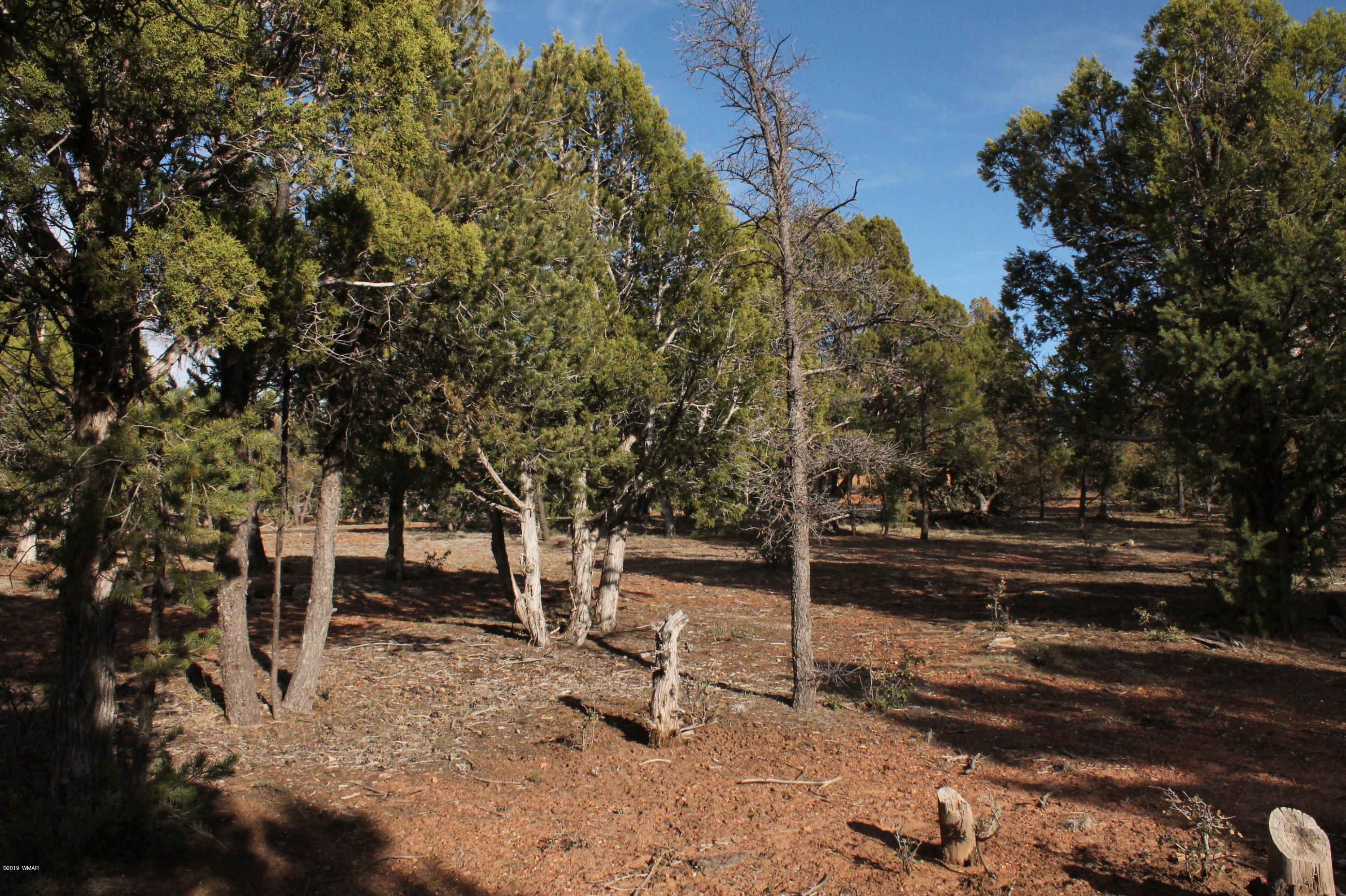 3 Acres, 5081 Alyssa Road, Pinedale, AZ 85934 Land and Farm