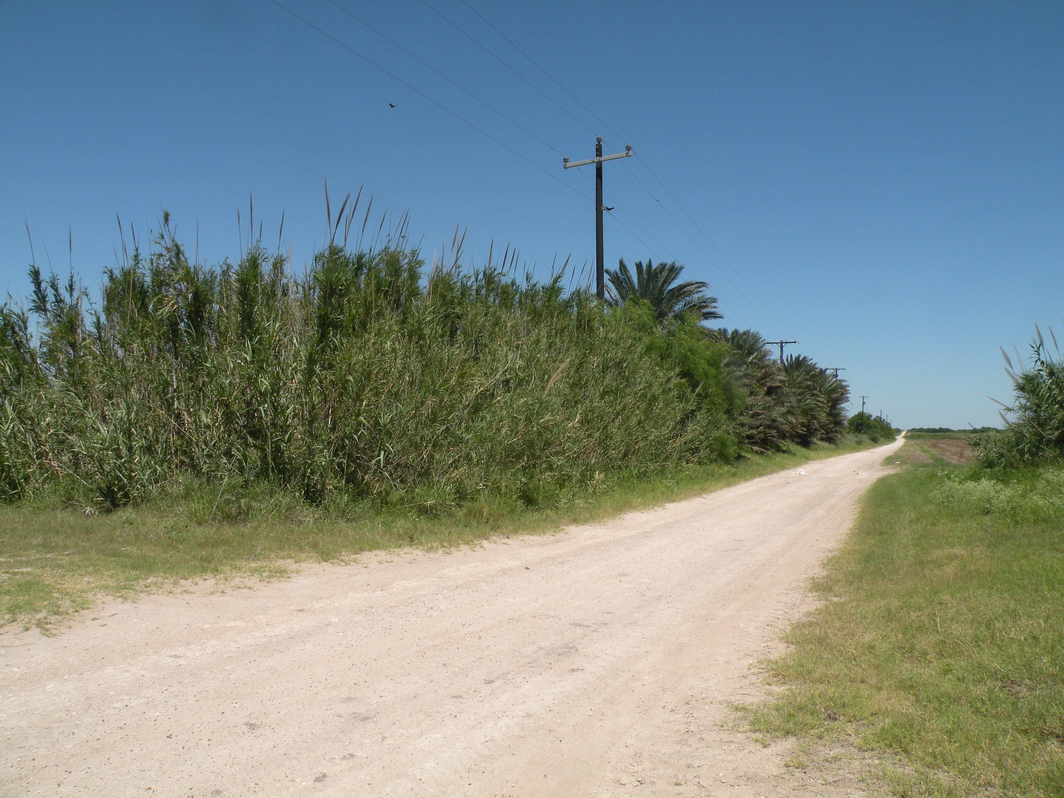 337 Acres, Hargill, TX 78549 Land and Farm