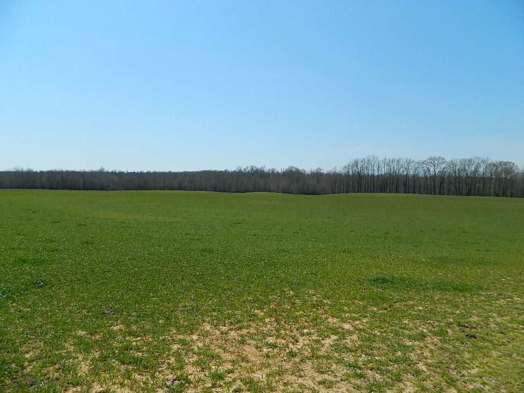 317 Acres, 317 Acs. M/L McCaney Mill Road, Huron, TN 38345 Land and Farm