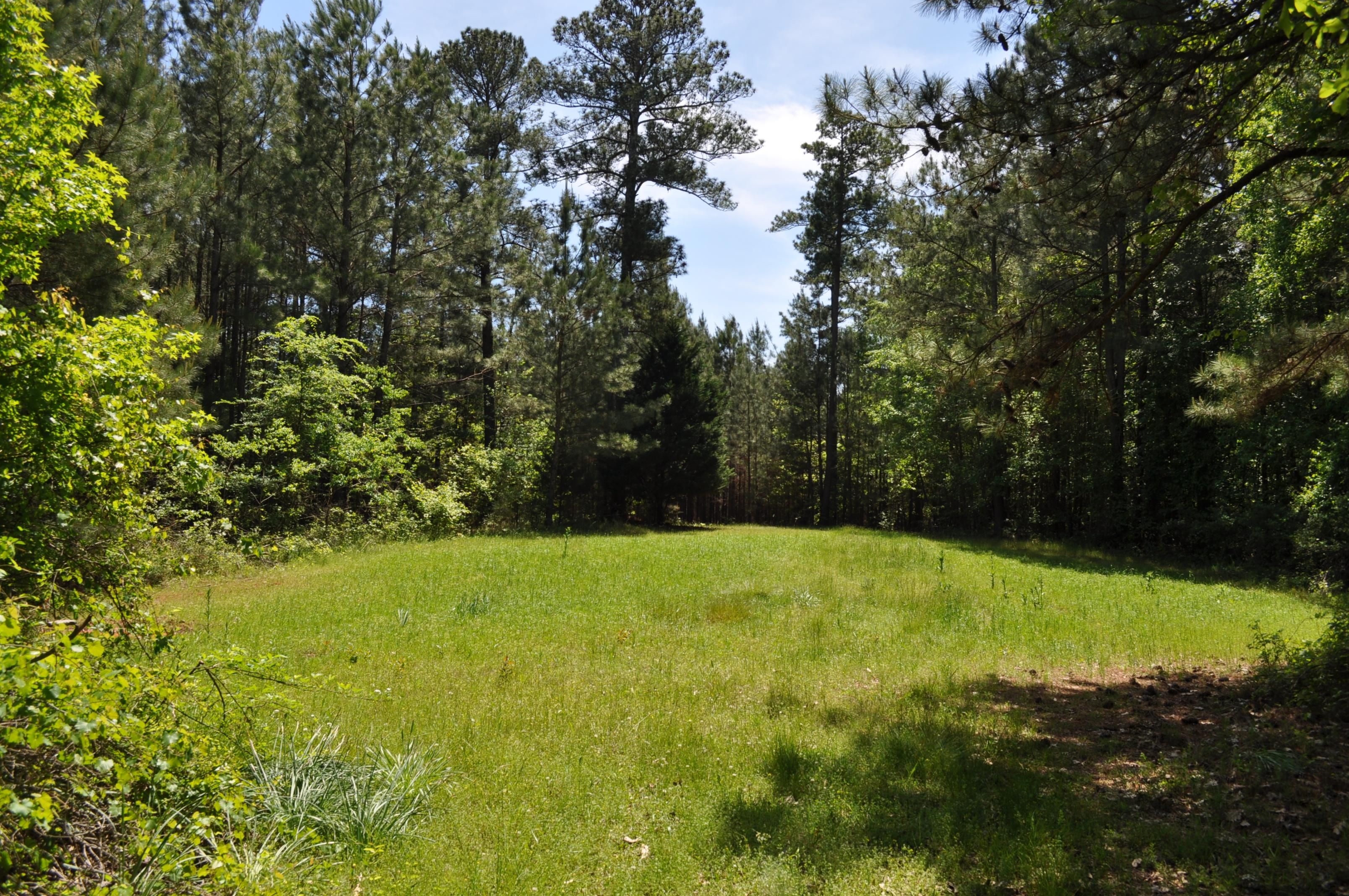 69 Acres, Sandy Creek Road, Madison, GA 30650 Land and Farm