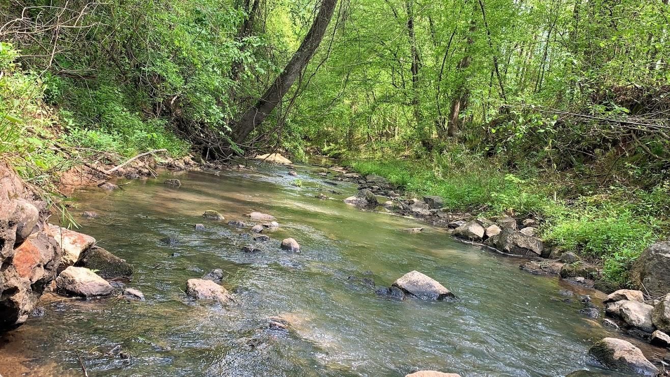 Goolsby Road, Monticello, GA 31064 Land and Farm