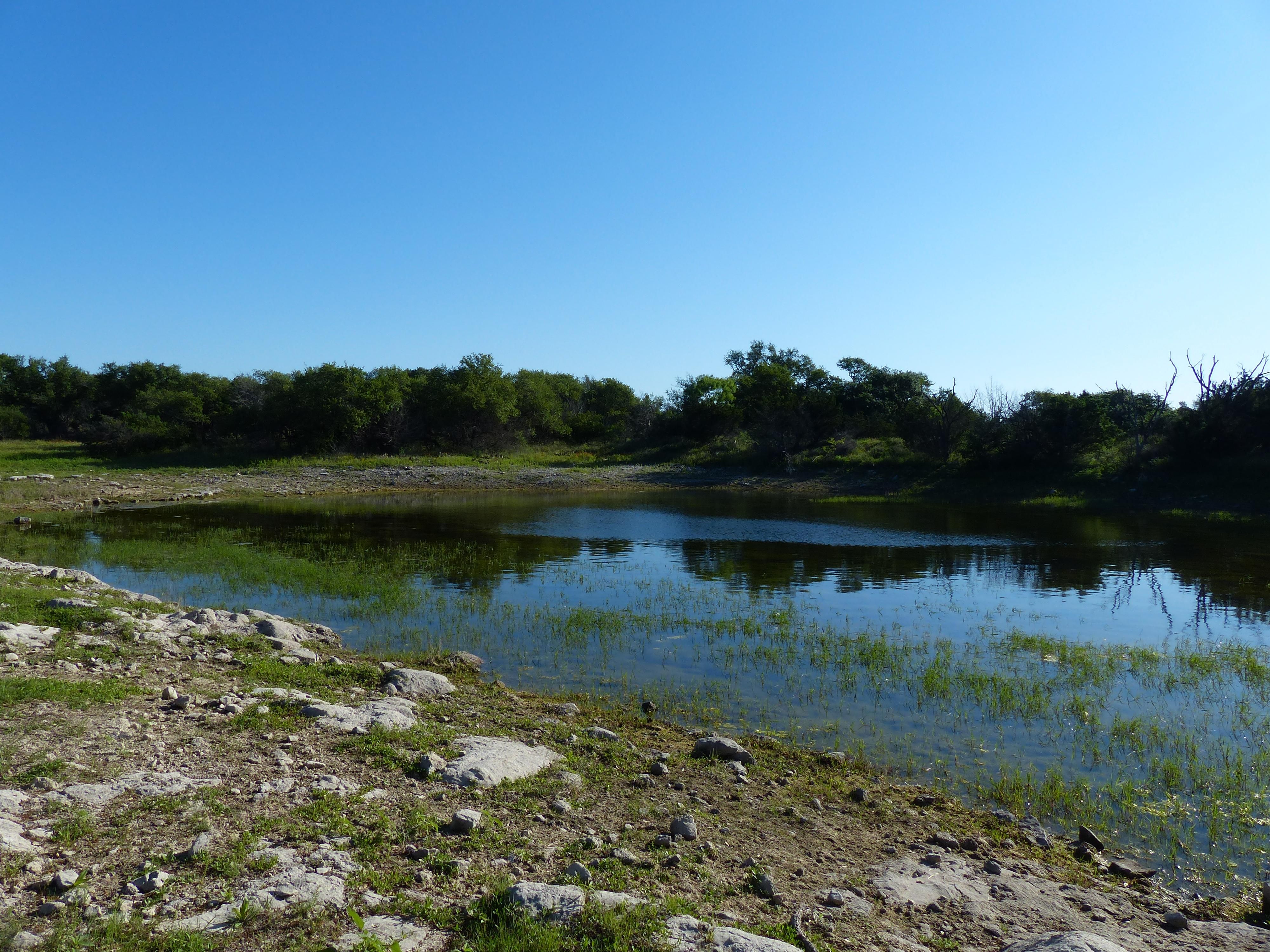 65 Acres, 245 CR 208, Voca, TX 76887 Land and Farm