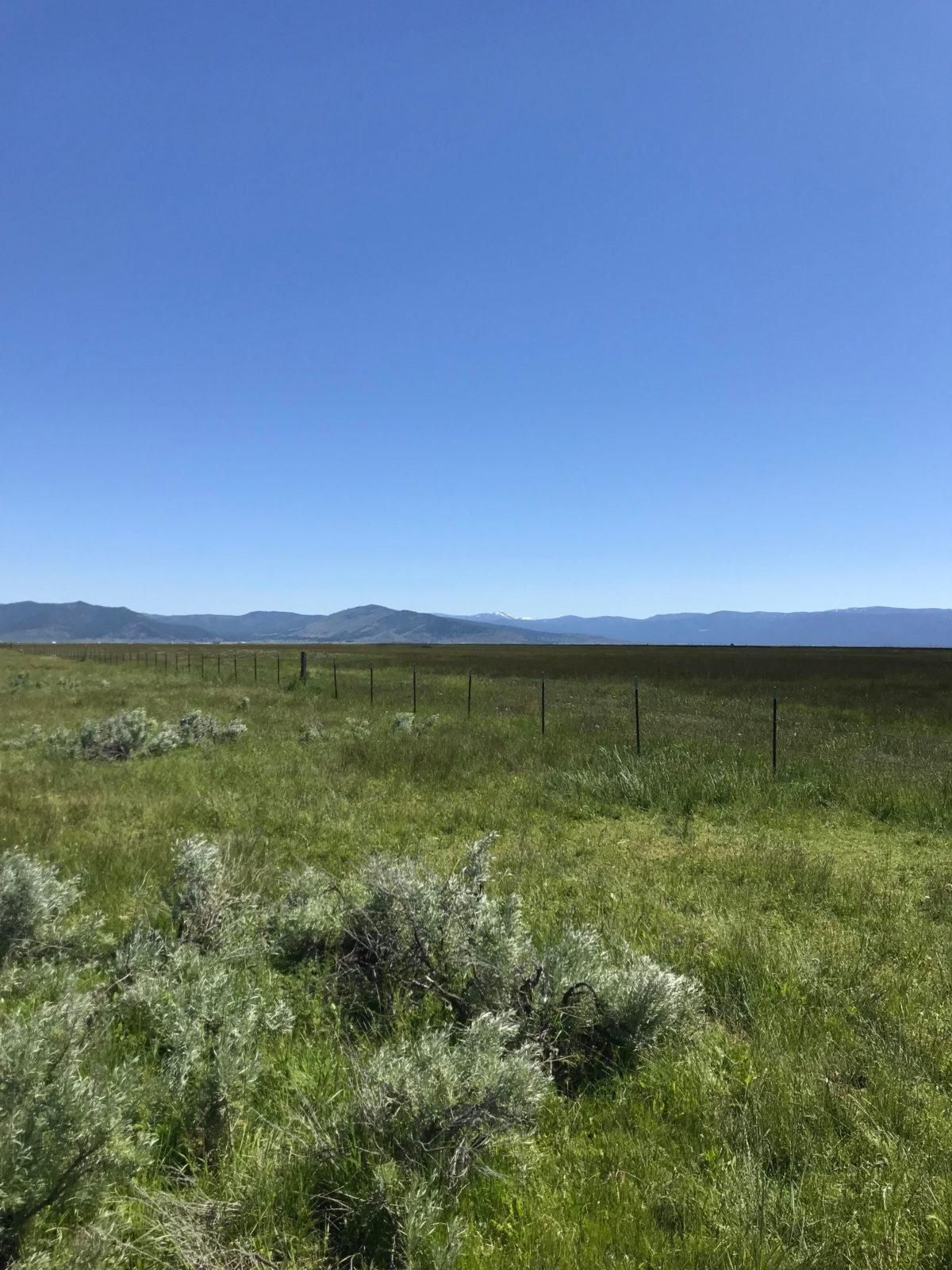 Cow Camp Rd, Beckwourth, CA 96129 Land and Farm