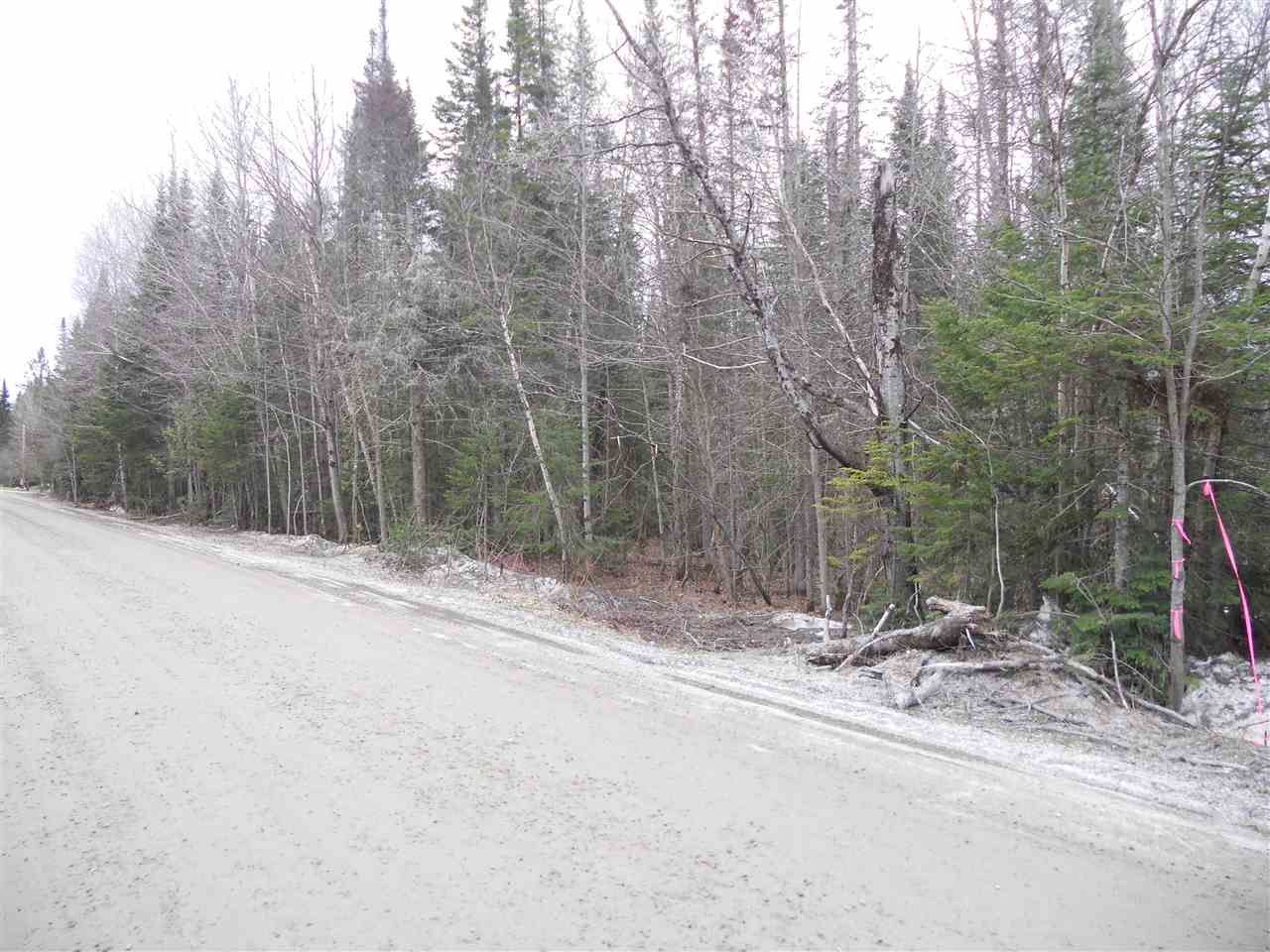 14.3 Acres, 00 Newark Road, Brighton, VT 05846 Land and Farm