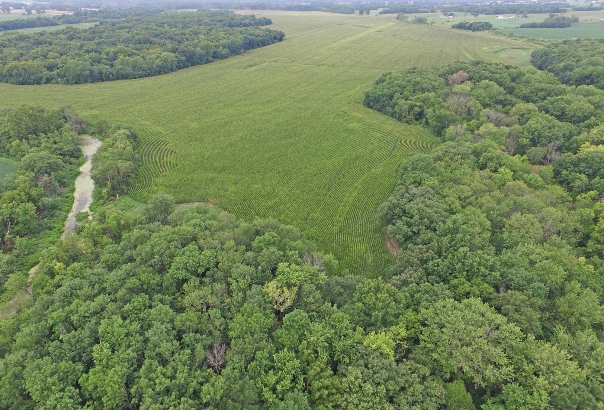 247 Acres, NE 251st Road, Warrensburg, MO 64093 Land and Farm