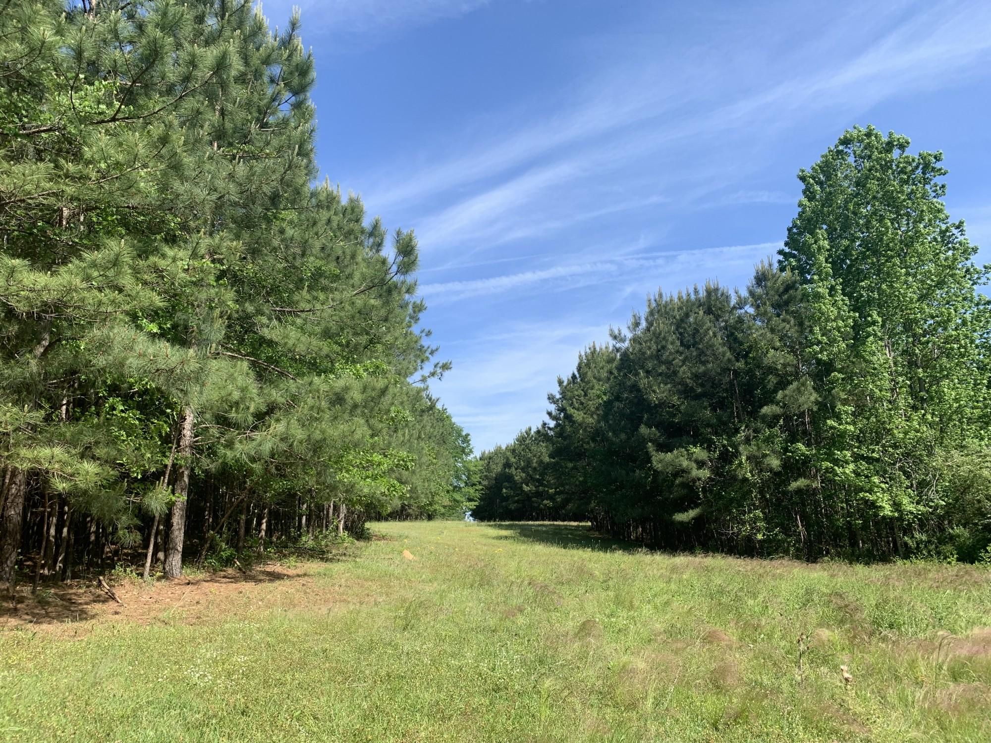 179 Acres, County Road 108, Verbena, AL 36091 Land and Farm