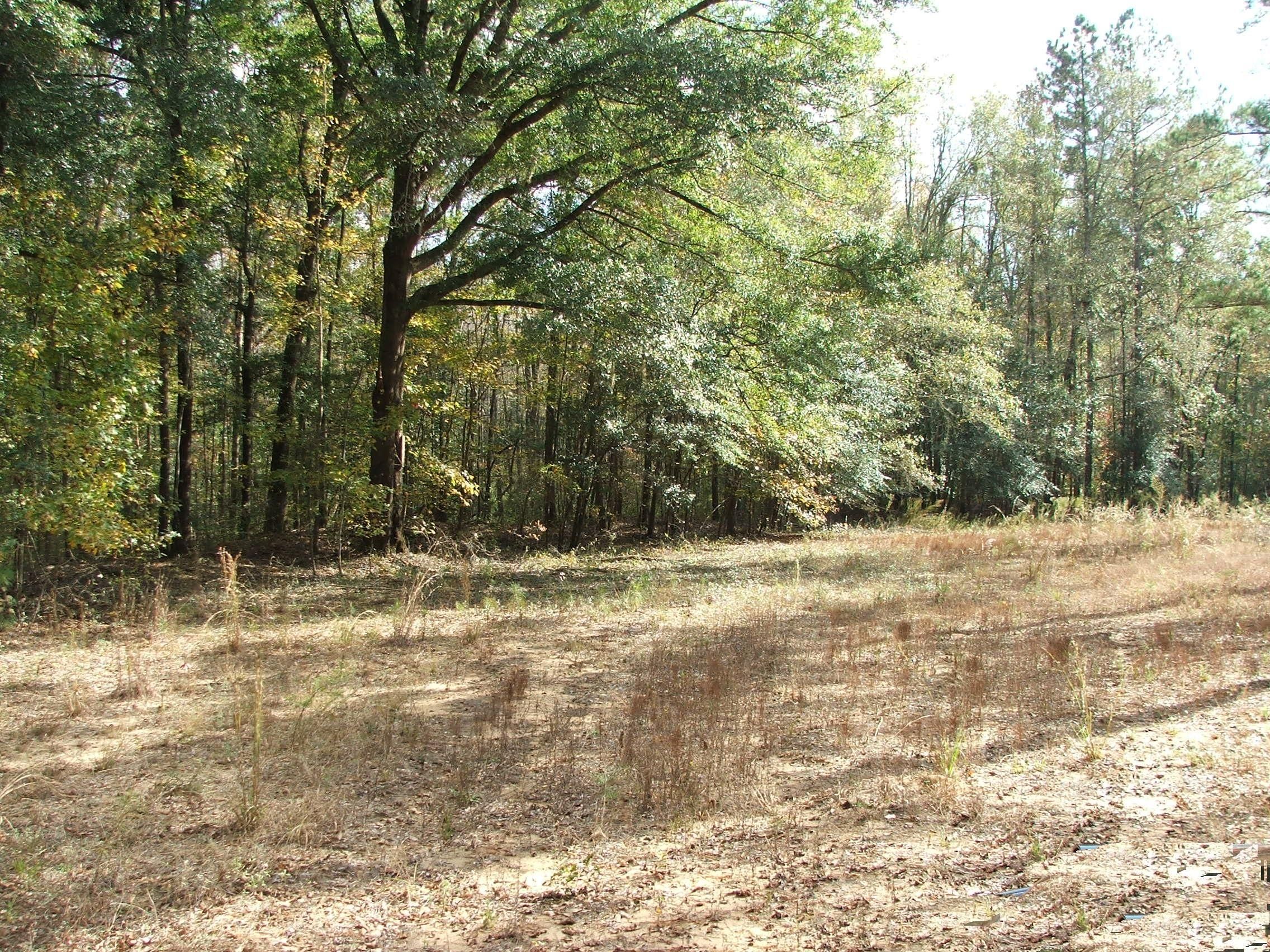 Mulberry Road, Barnwell, SC 29812 Land and Farm