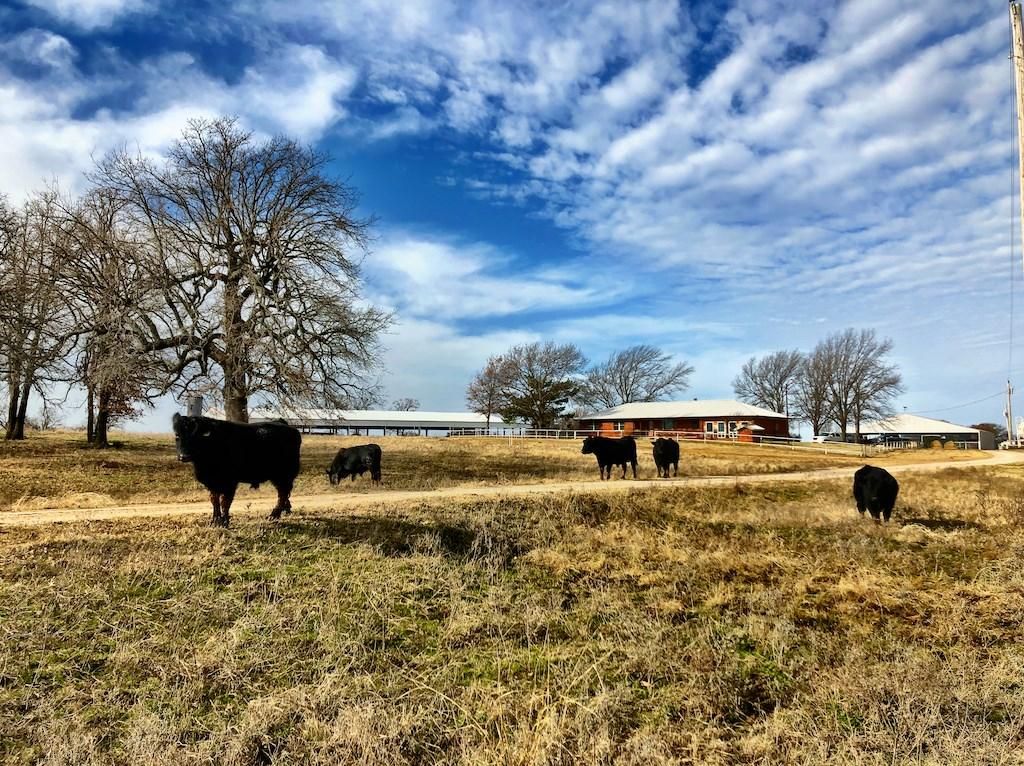 187625 N 2990, Loco, OK 73442 MLS 3507710855 Land and Farm