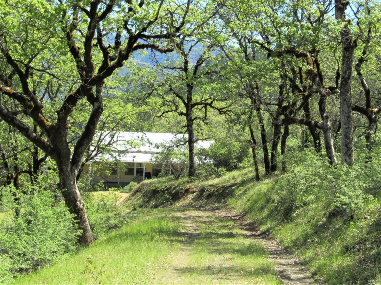 20 Acres, 3100 Eel River Ranch Road, Covelo, CA 95428 Land and Farm