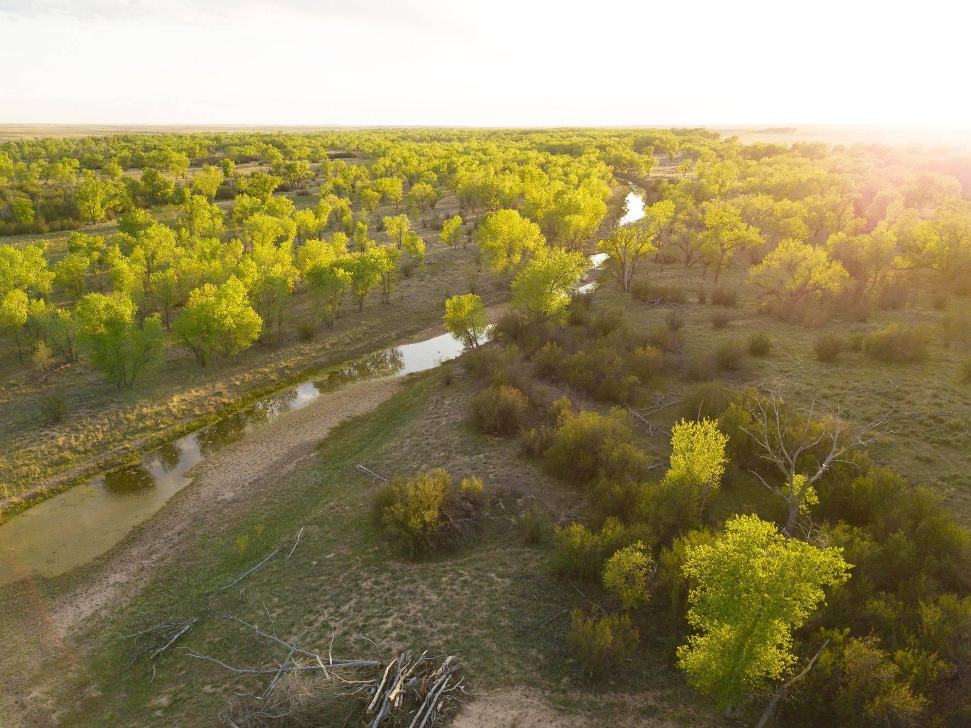 2492 Co Rd 48, Campo, CO 81029 Land and Farm