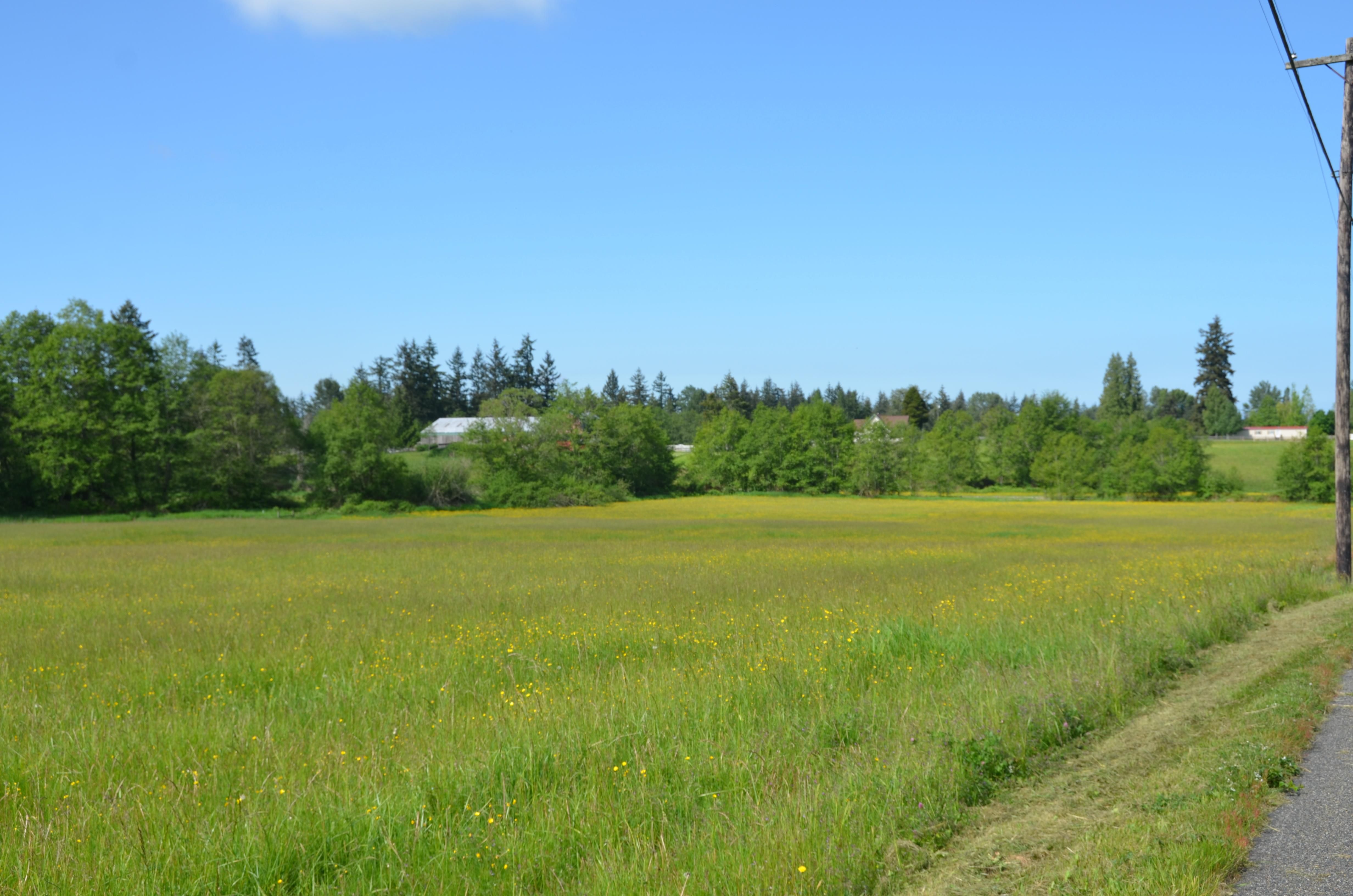 5.73 Acres, 324th St NW, Stanwood, WA 98292 Land and Farm