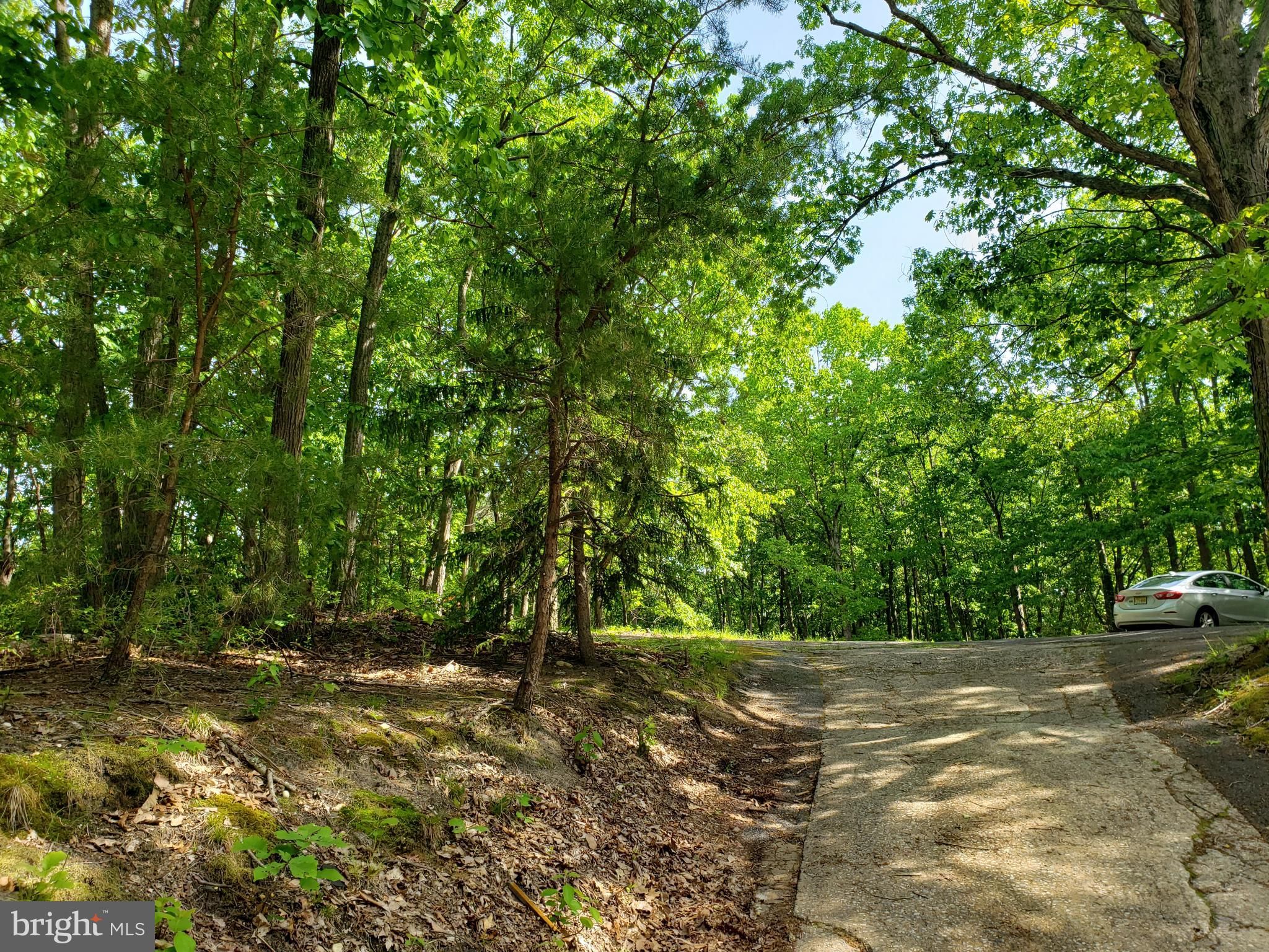 4.26 Acres, 2828 ERIAL NEW BROOKLYN ROAD, Sicklerville, NJ 08081 Land