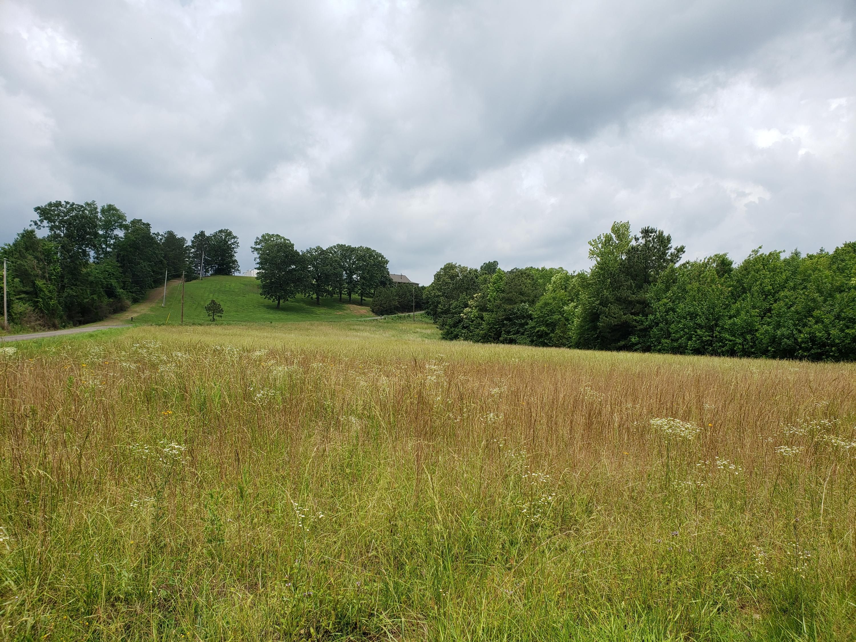 5 Acres, 17b Shadow Lane, Dardanelle, AR 72834 Land and Farm