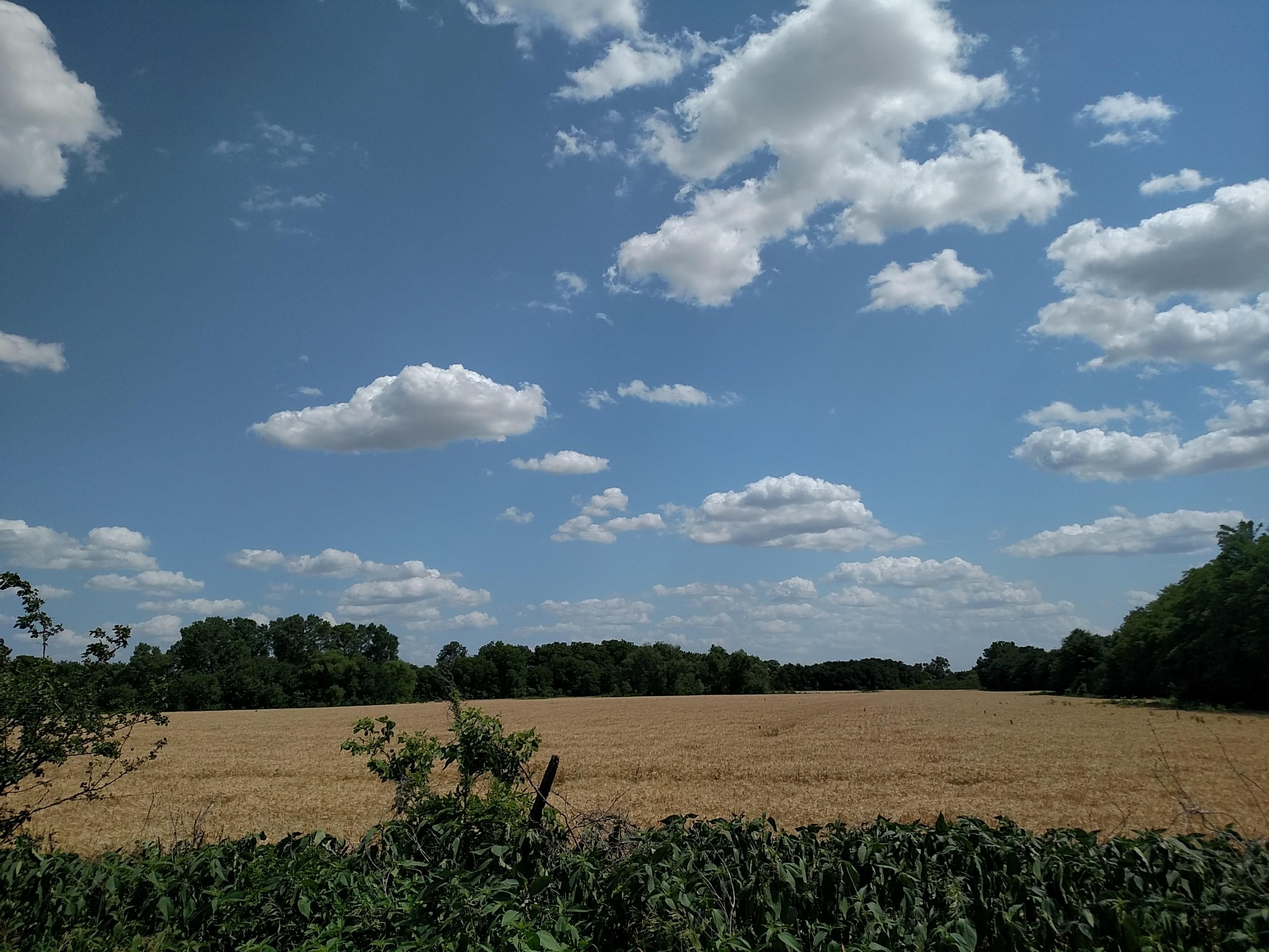 22.8 Acres, 0000 NW 110th Street, Whitewater, KS 67154 Land and Farm