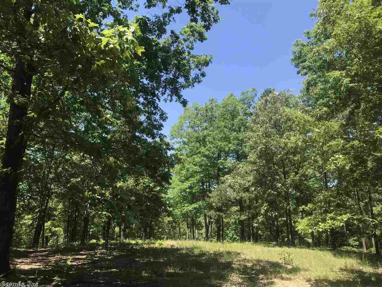 3.01 Acres, TBD Denby Cove, Mount Ida, AR 71957 Land and Farm