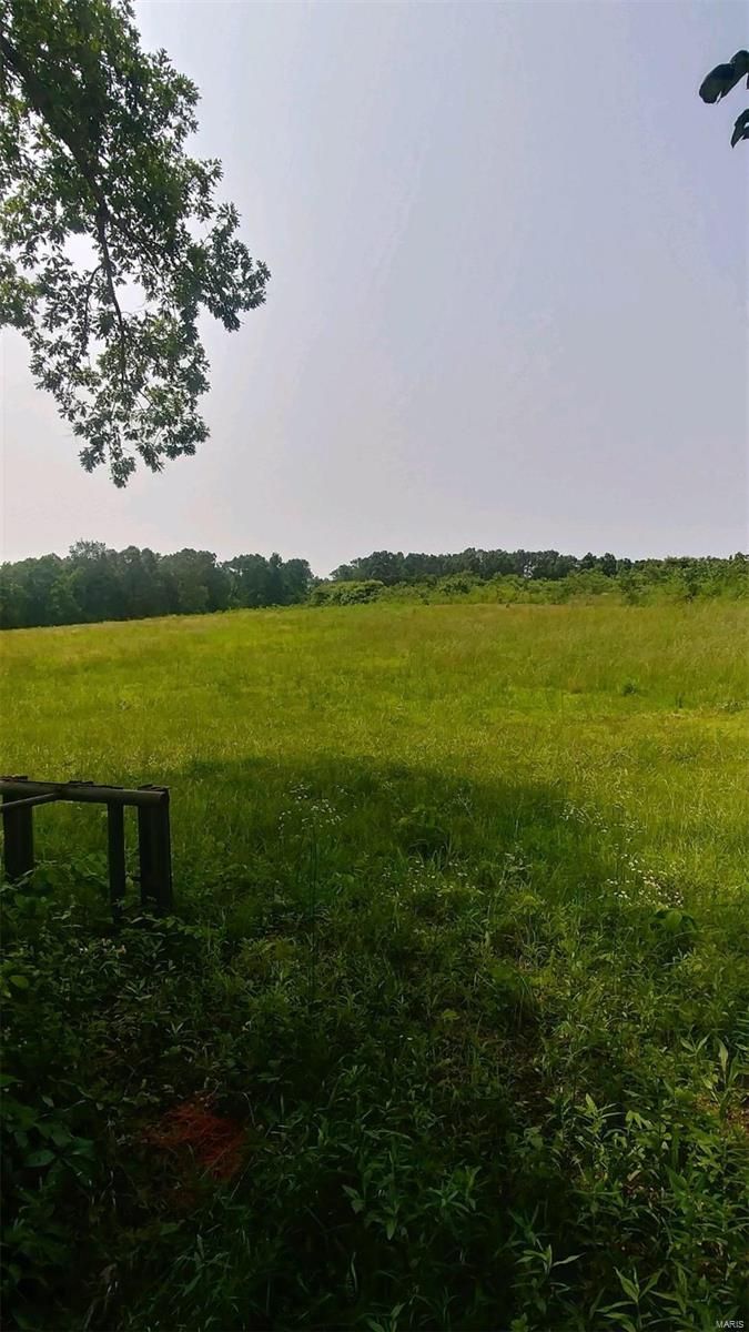 36 Acres, 0 Rr 1 Box 183 BCR 340, Millersville, MO 63766 Land and Farm