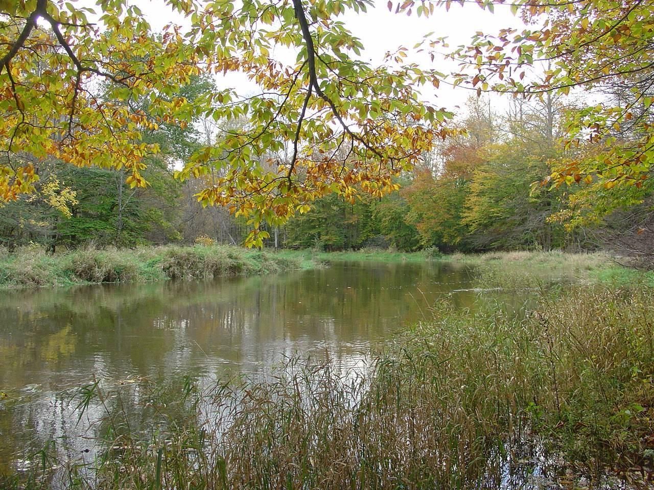 94 Acres, Gerry Levant Road, Falconer, NY 14733 Land and Farm